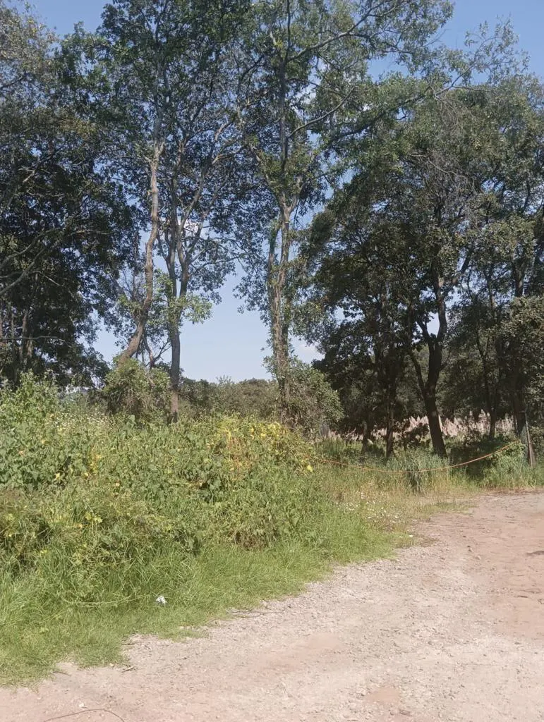 Terreno Spot2