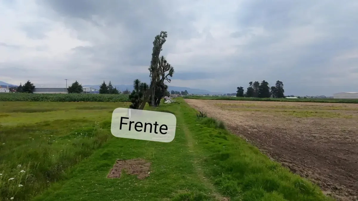 Terreno Spot2