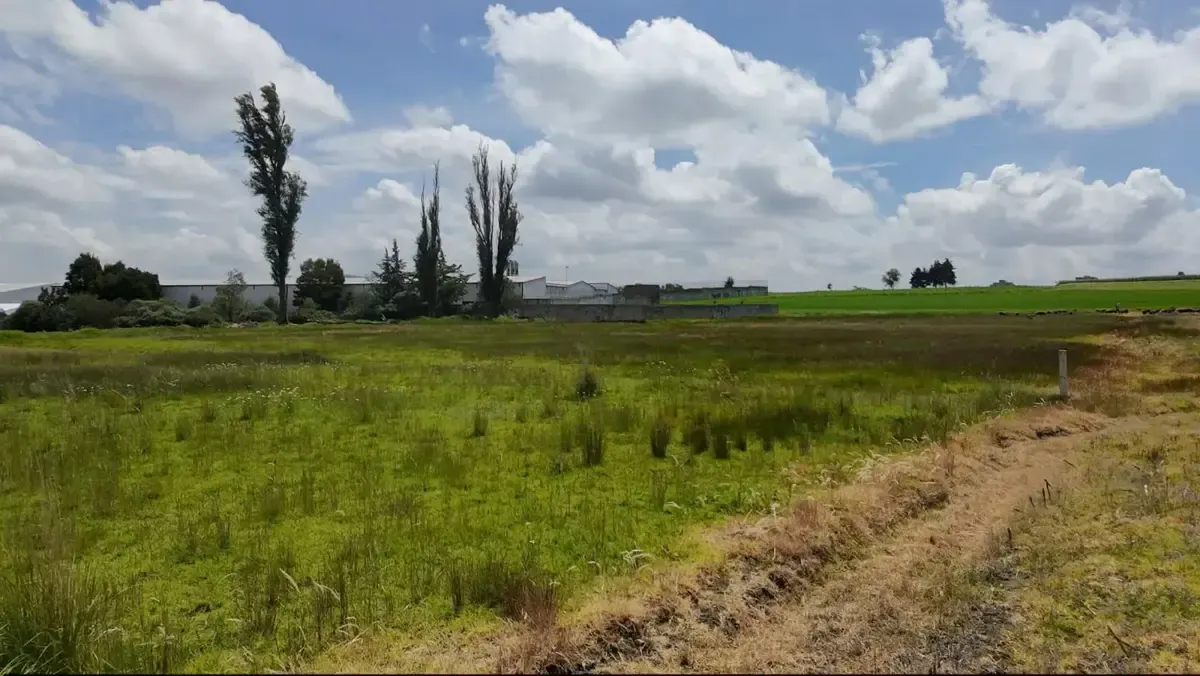 Terreno Spot2