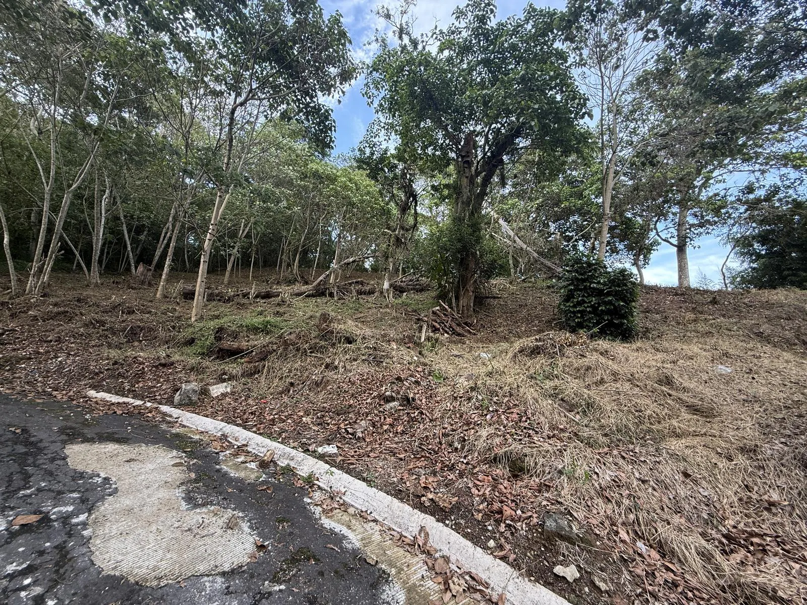 Terreno Spot2