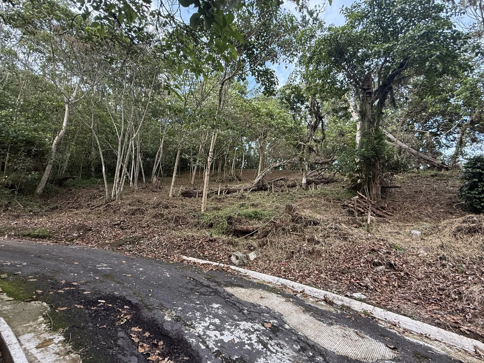 Terreno Spot2