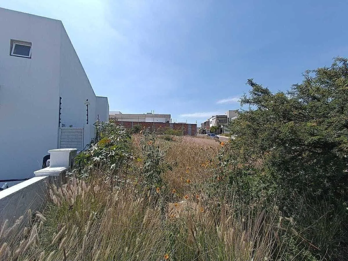Terreno Spot2