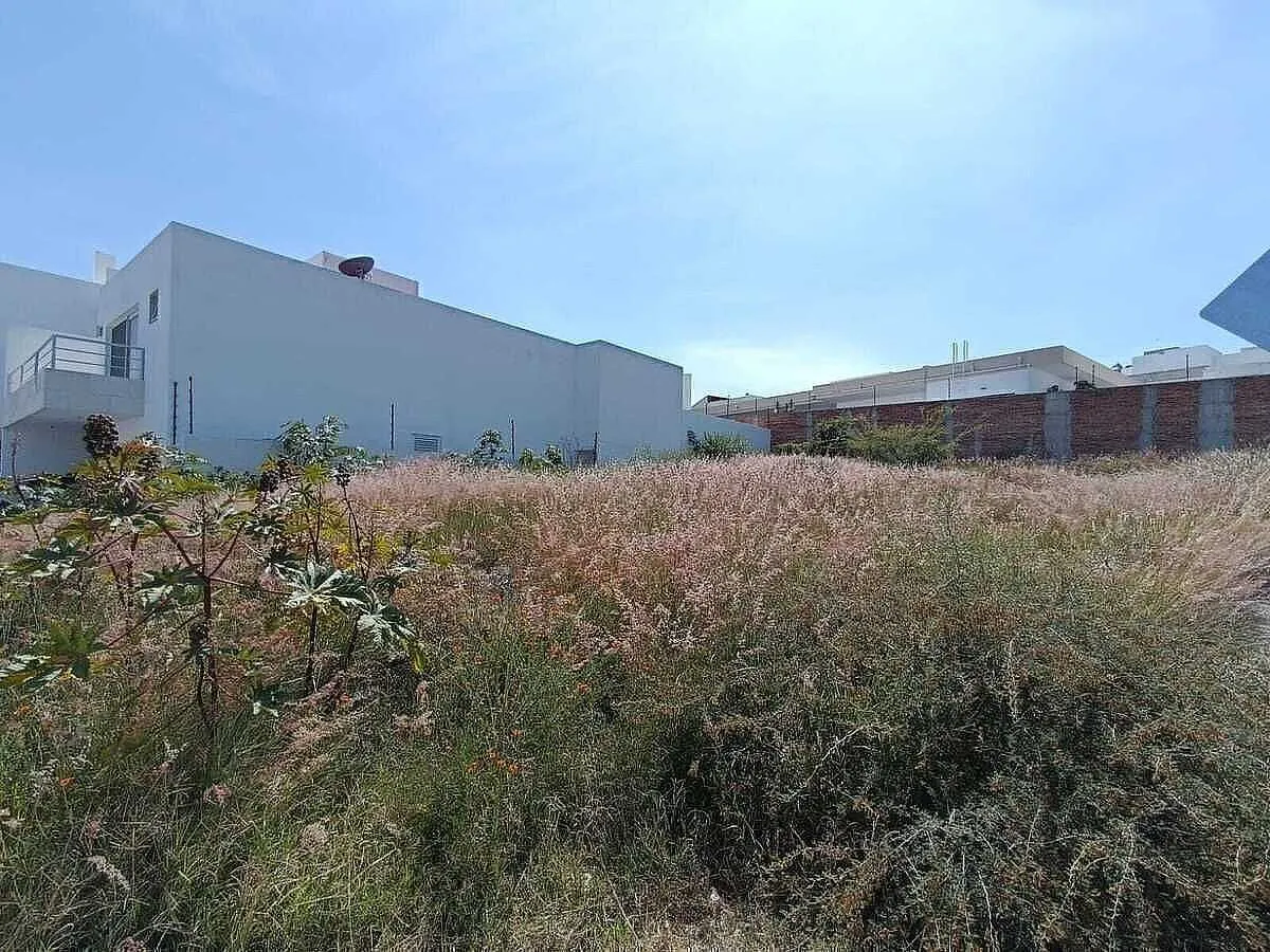 Terreno Spot2