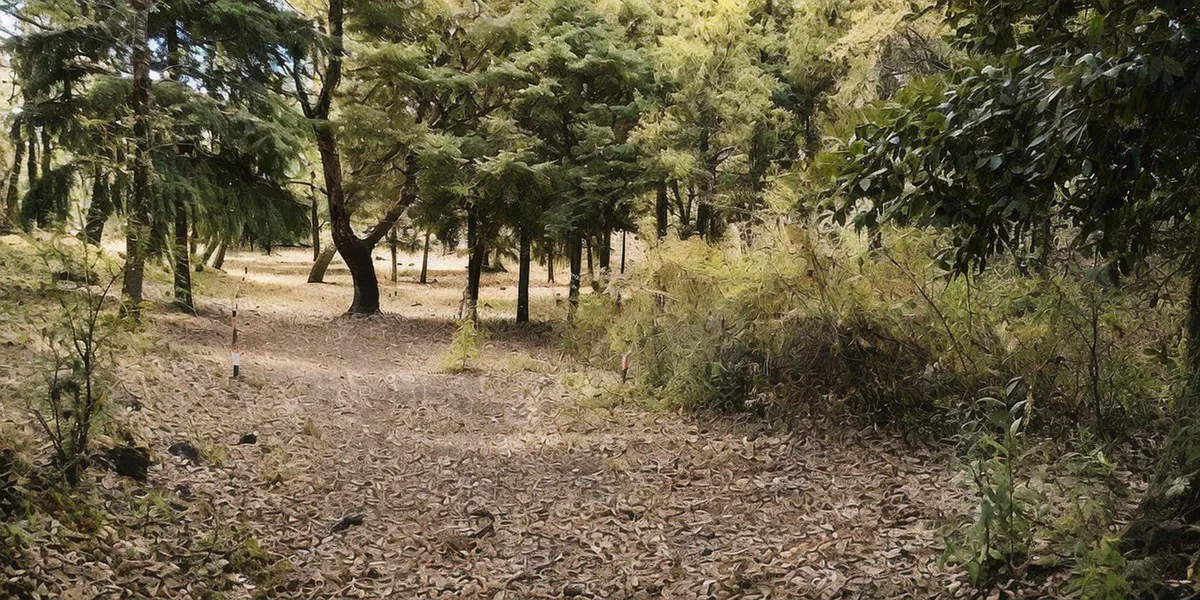Terreno Spot2