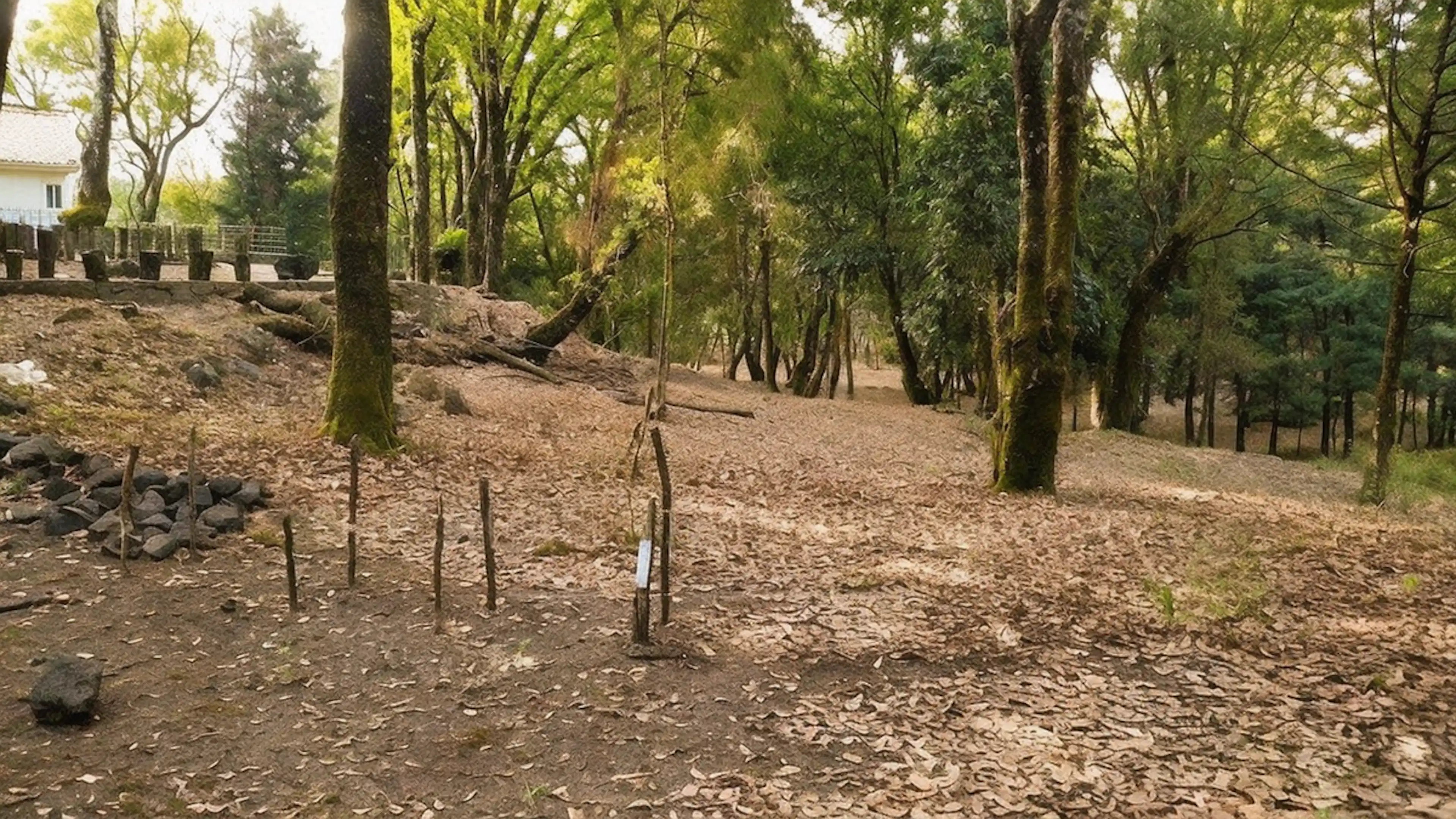 Terreno en venta en Los Ocotes, Tepoztlan