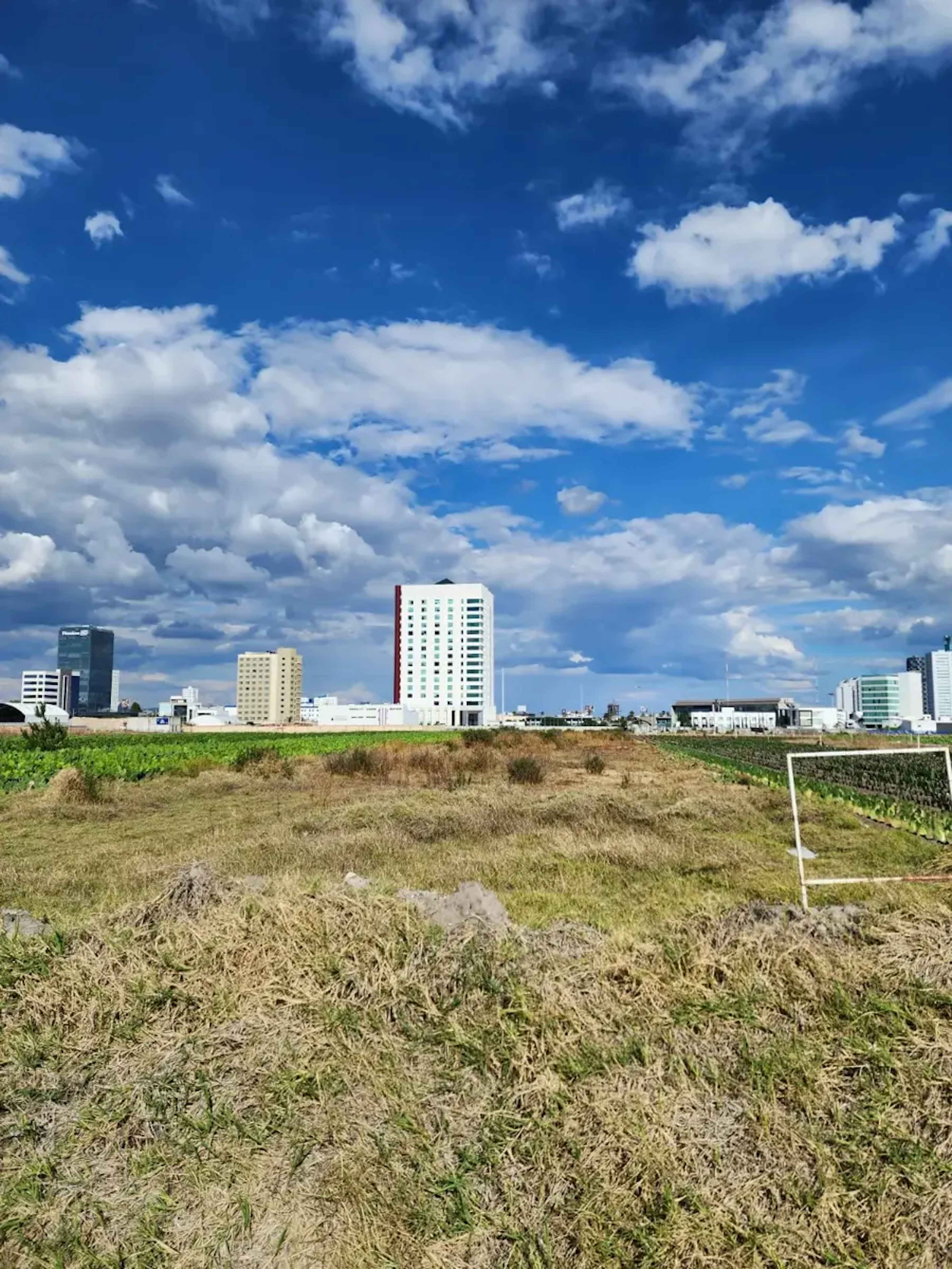 Terreno En Venta En San Bernardino Tlaxcalancingo, San Andrés Cholula, Puebla