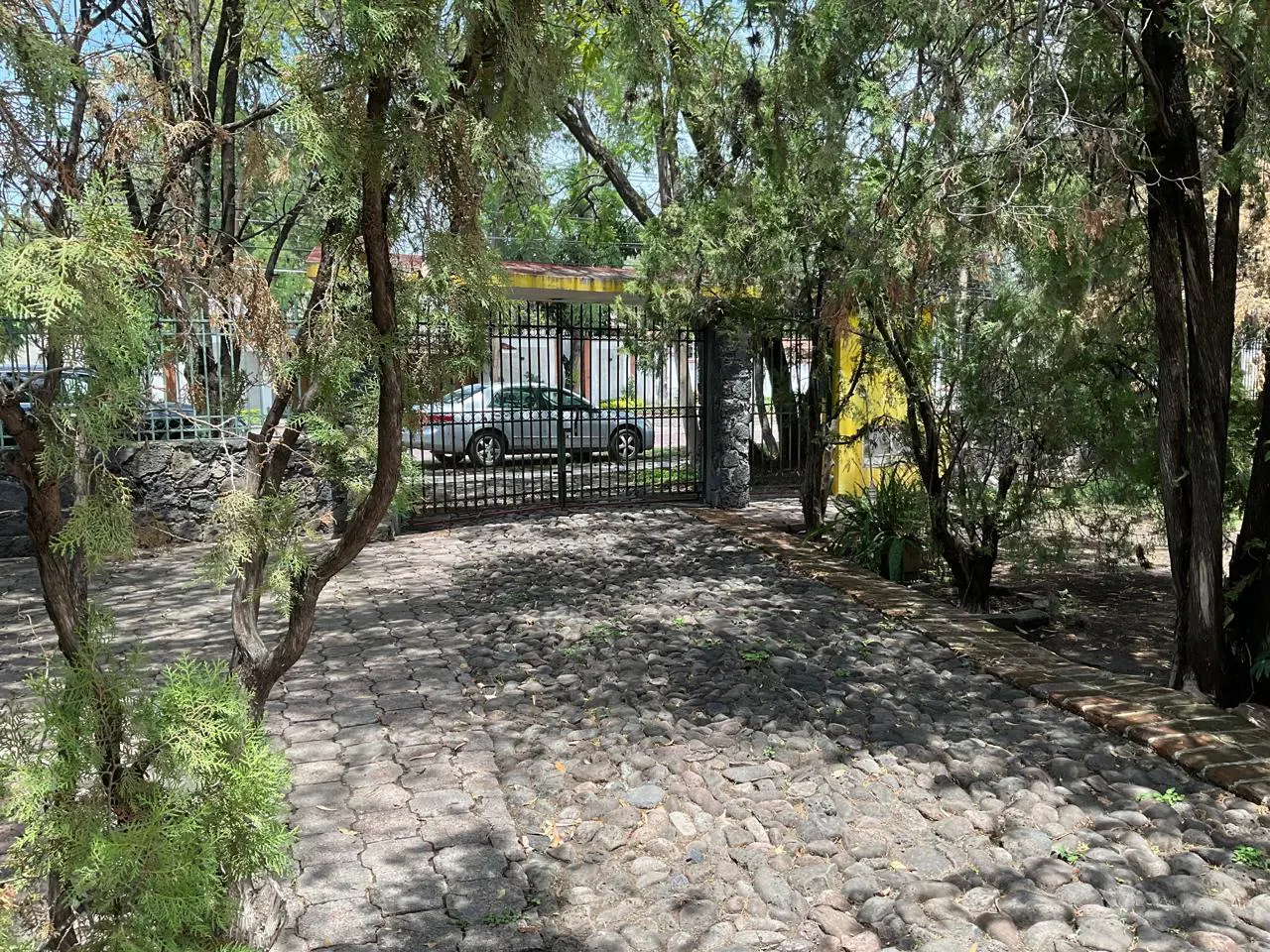 Terreno Spot2