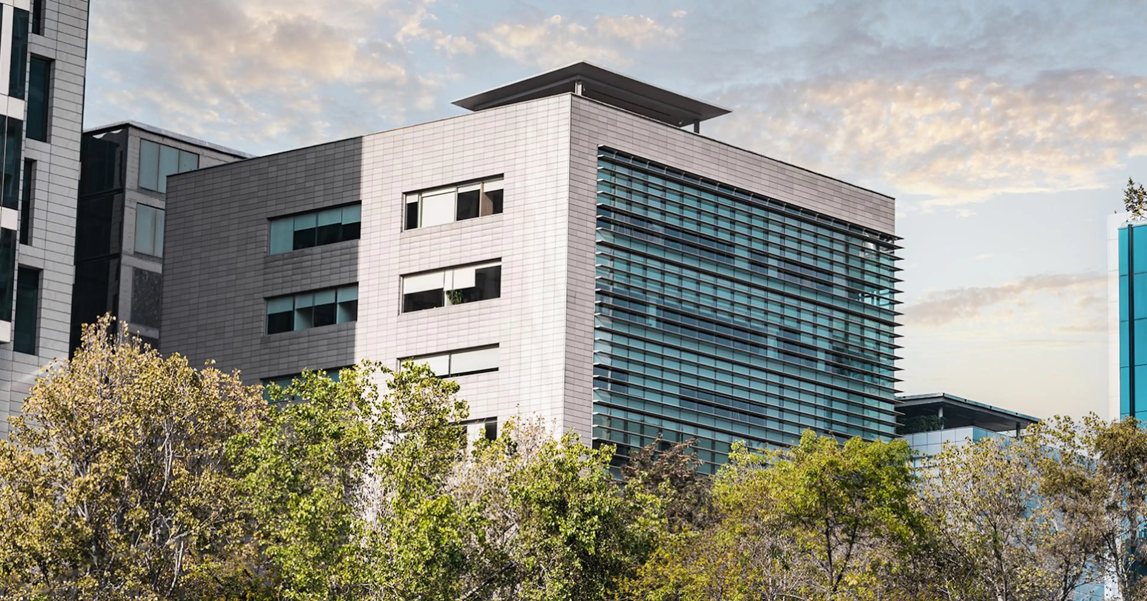 Reforma 231