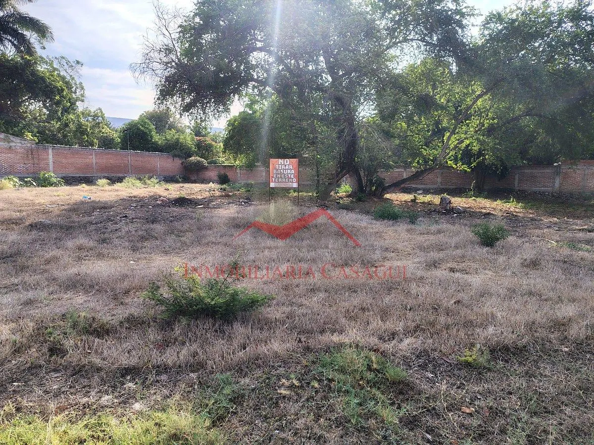 Terreno Spot2