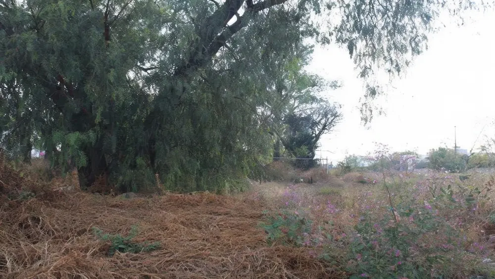 Terreno Spot2