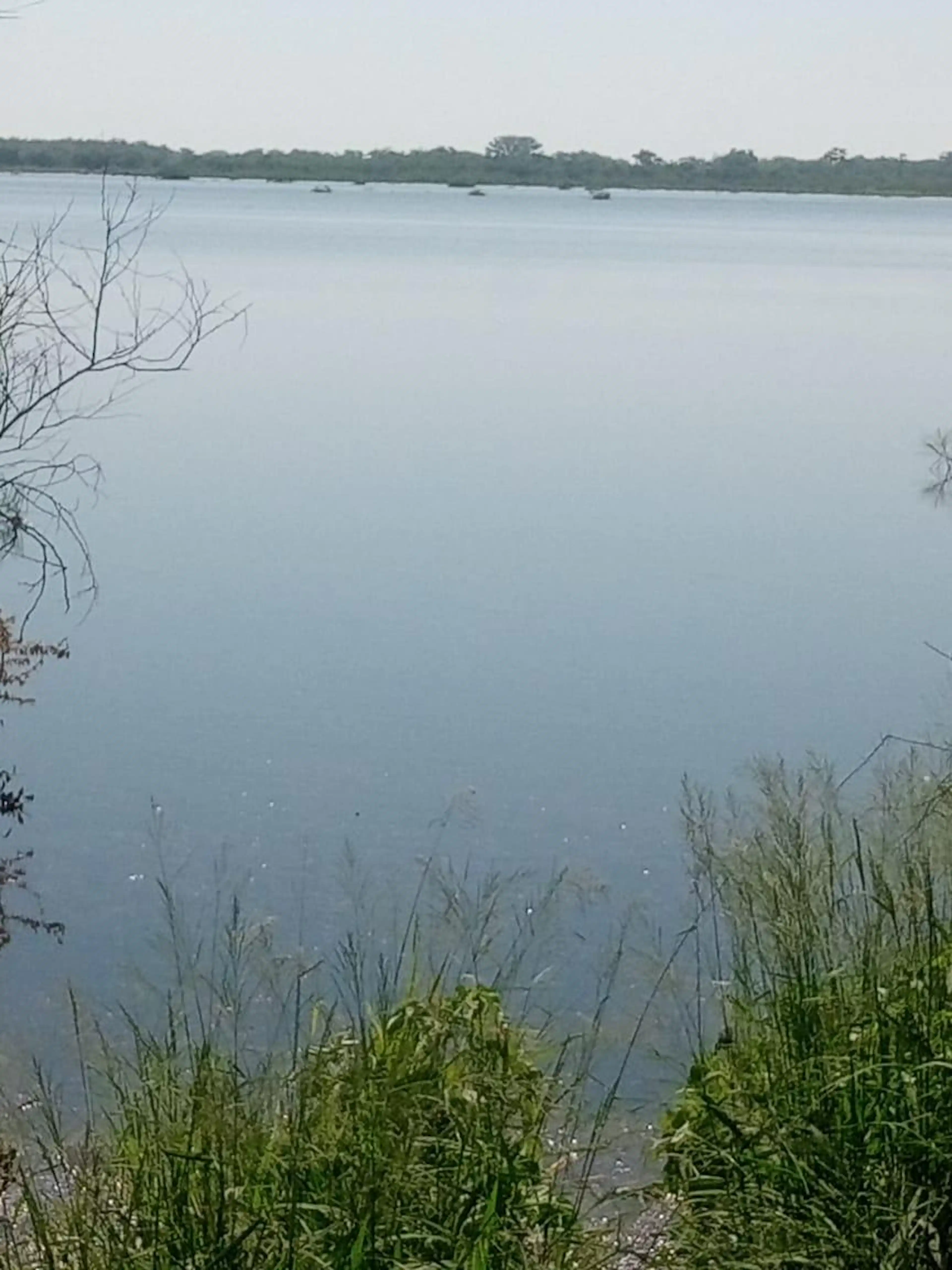 Terreno En Venta En González, Tamaulipas.