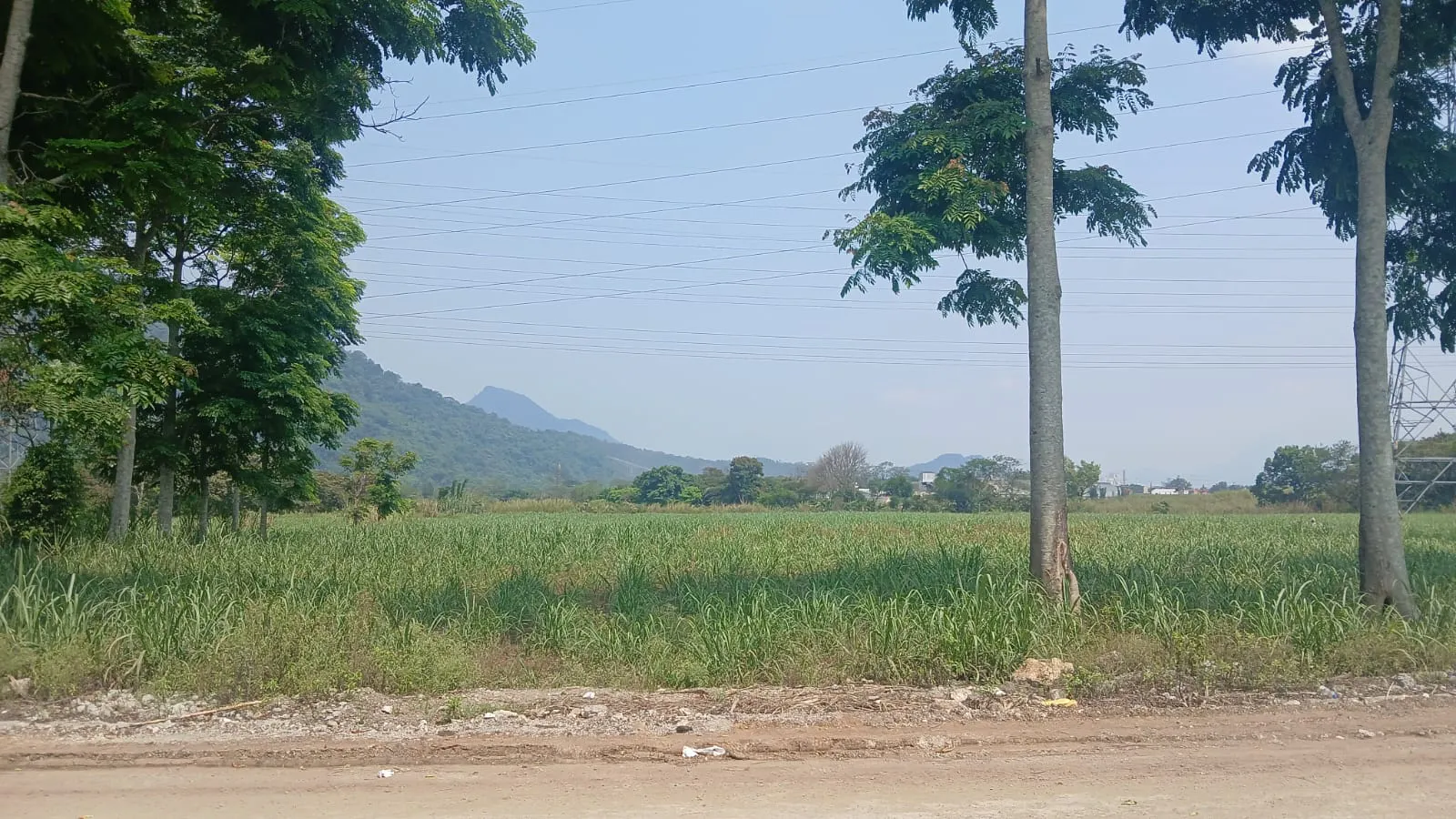 Terreno Spot2