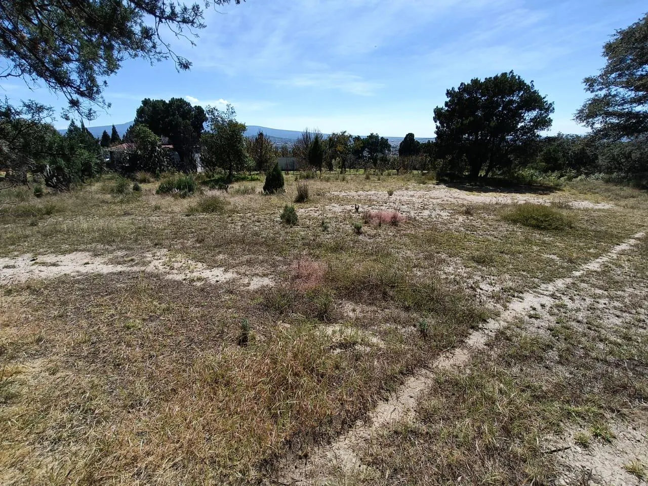 Terreno Spot2