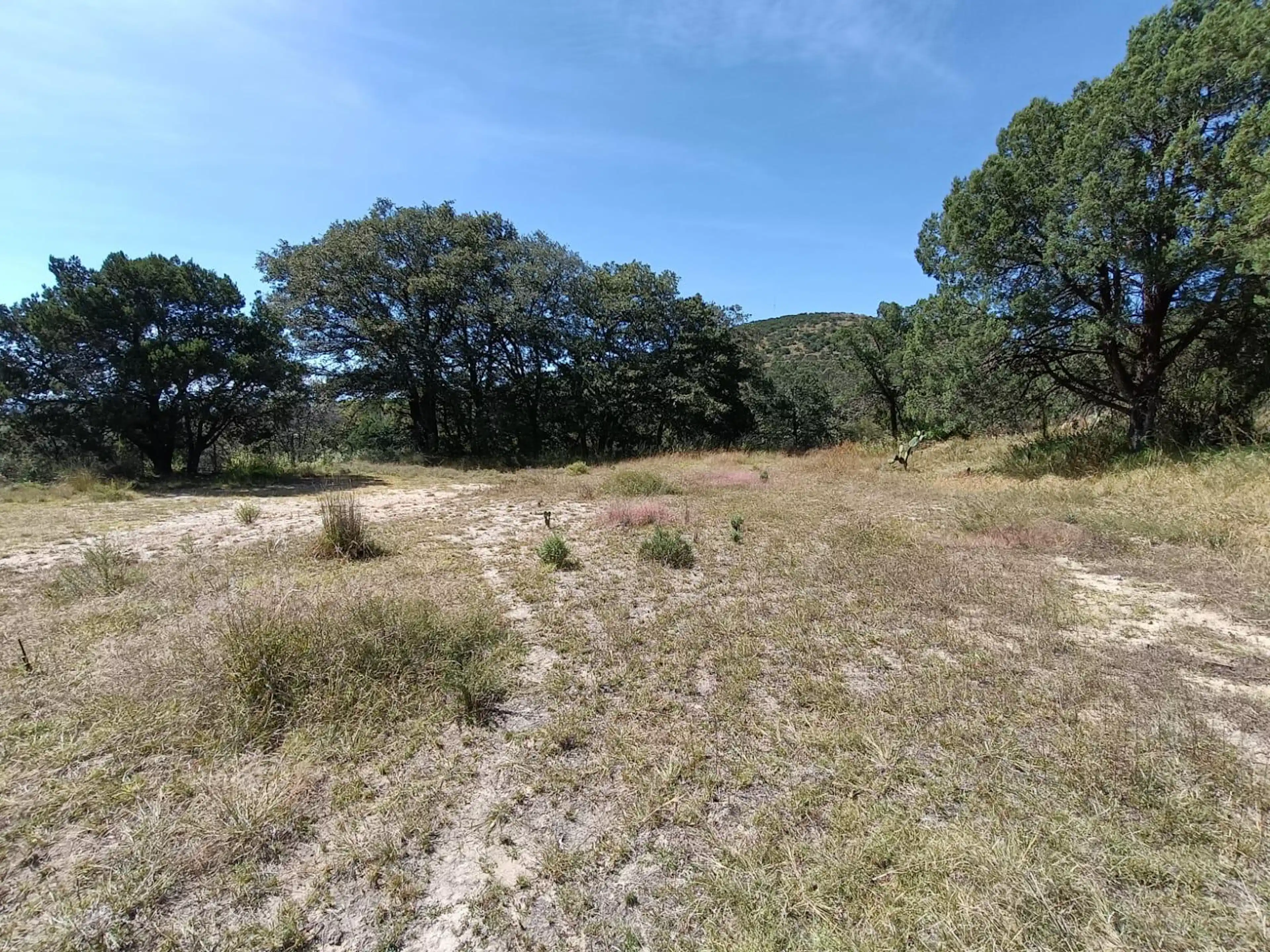 Lote En Tetla, Tlaxcala