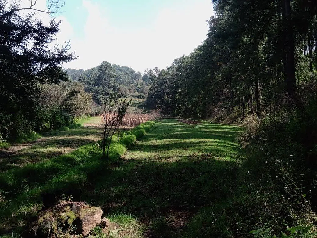 Terreno Spot2