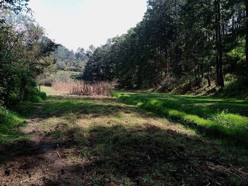 Terreno Spot2