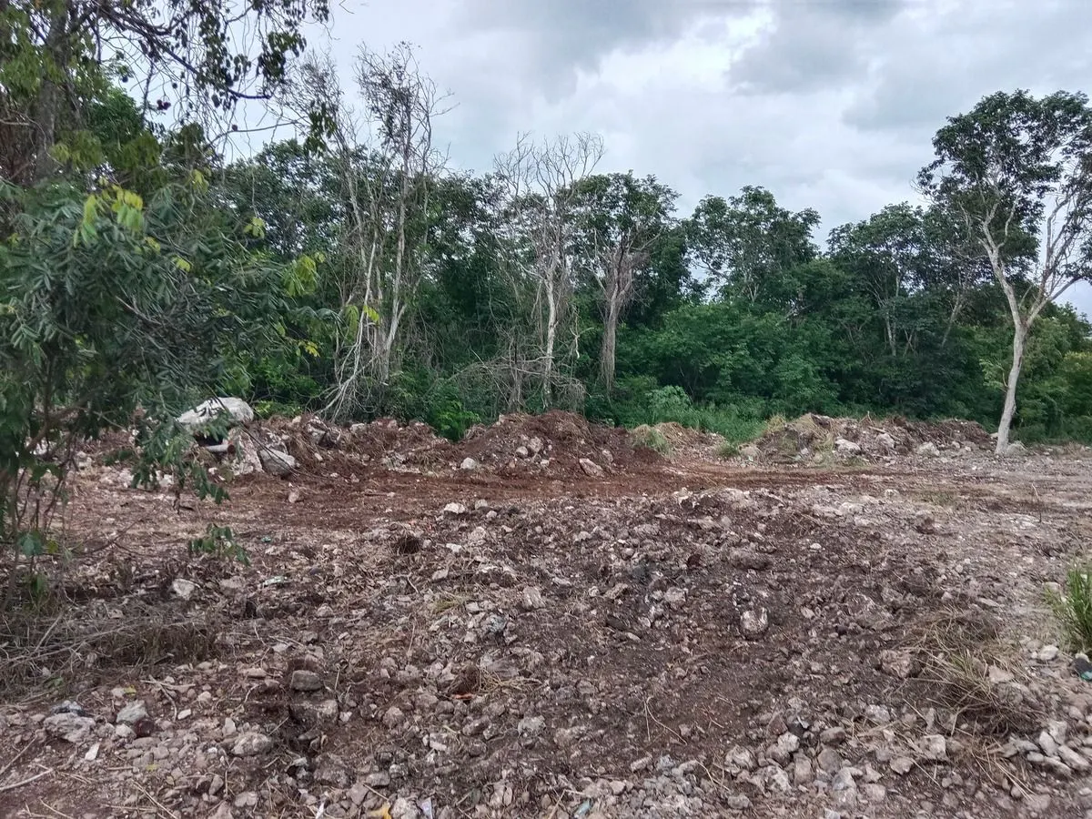 Terreno Spot2