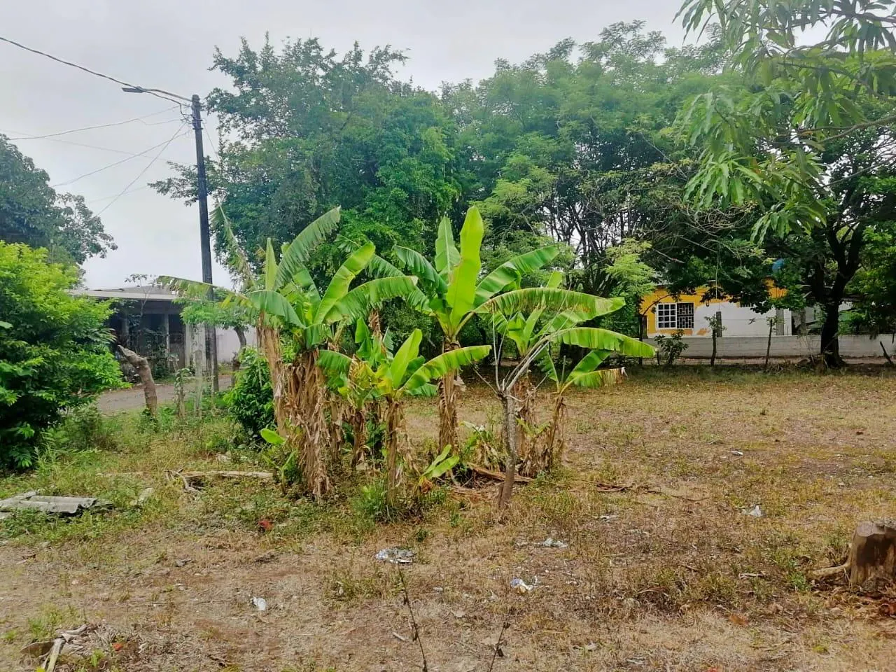 Terreno Spot2