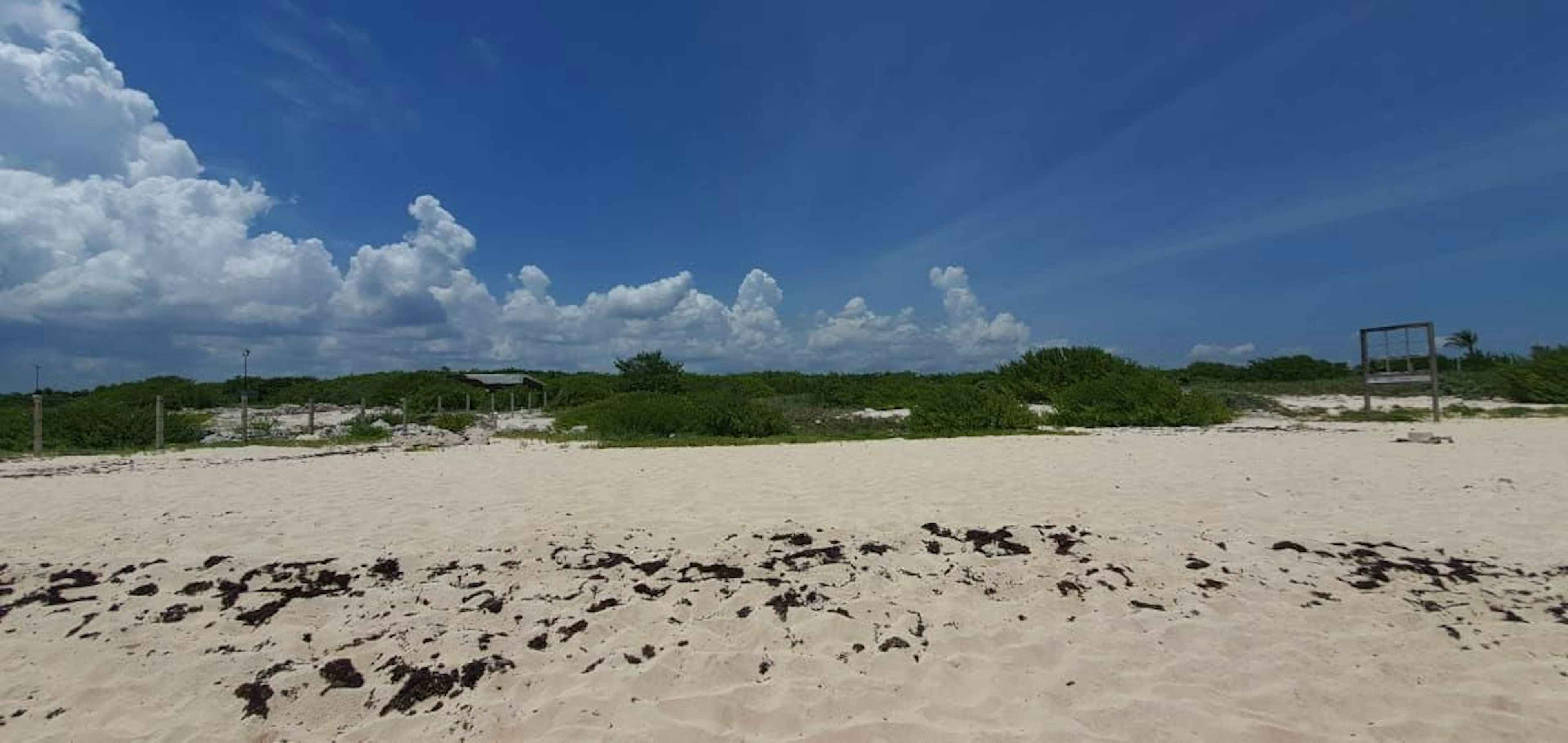 Venta De Terreno 800mts Frente Al Mar Puerto Morelos