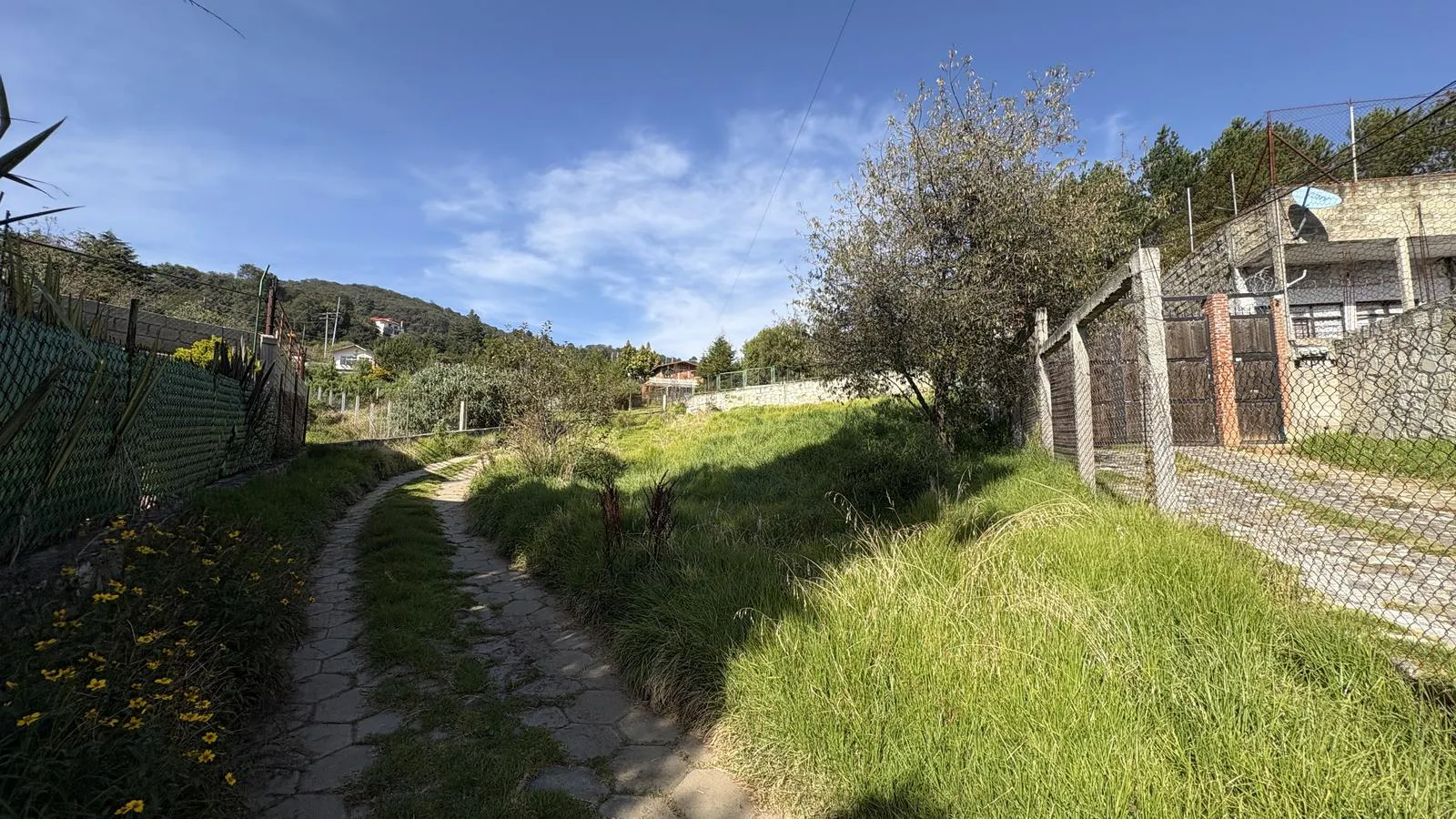 Terreno Spot2