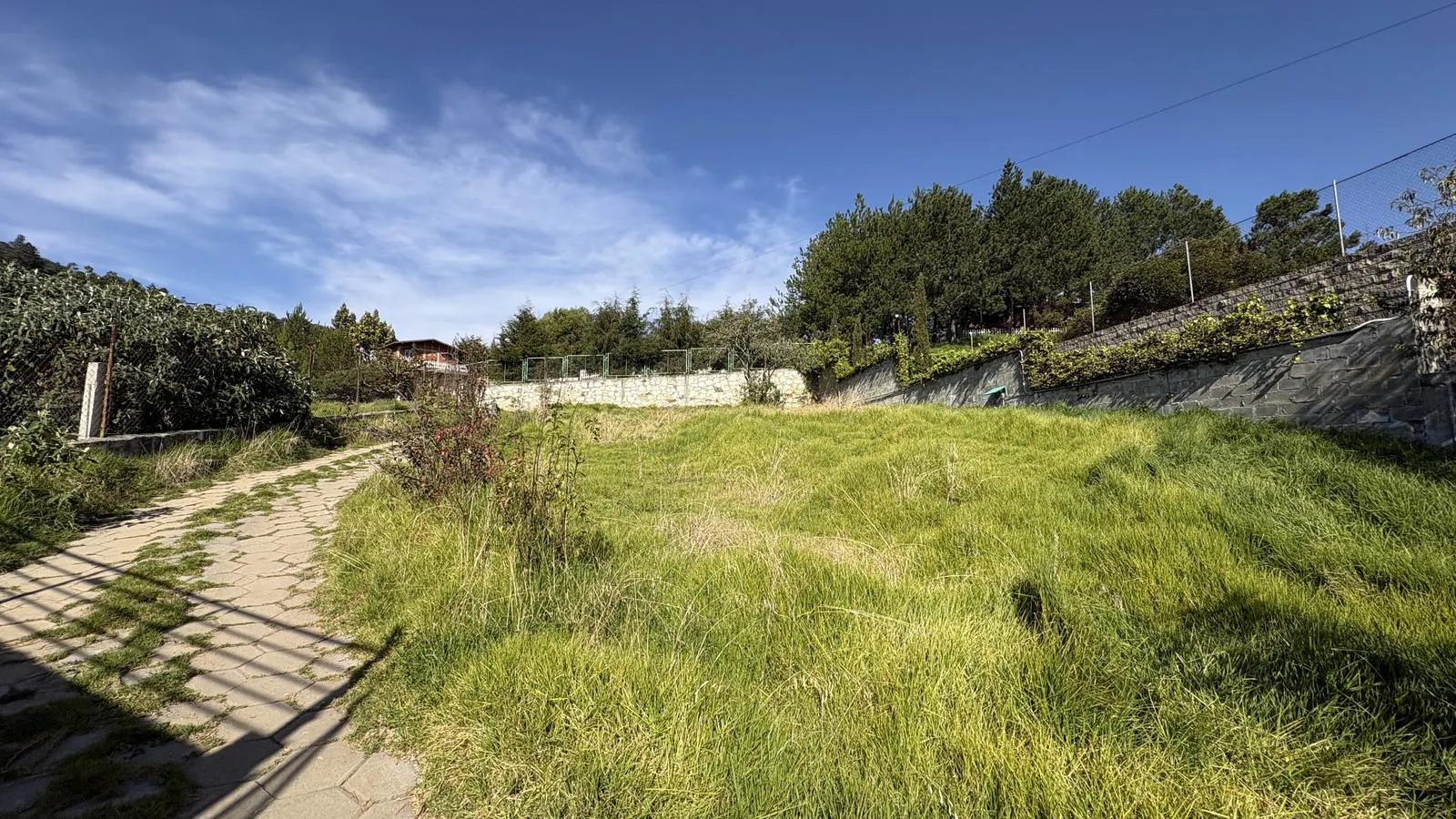 Terreno Spot2