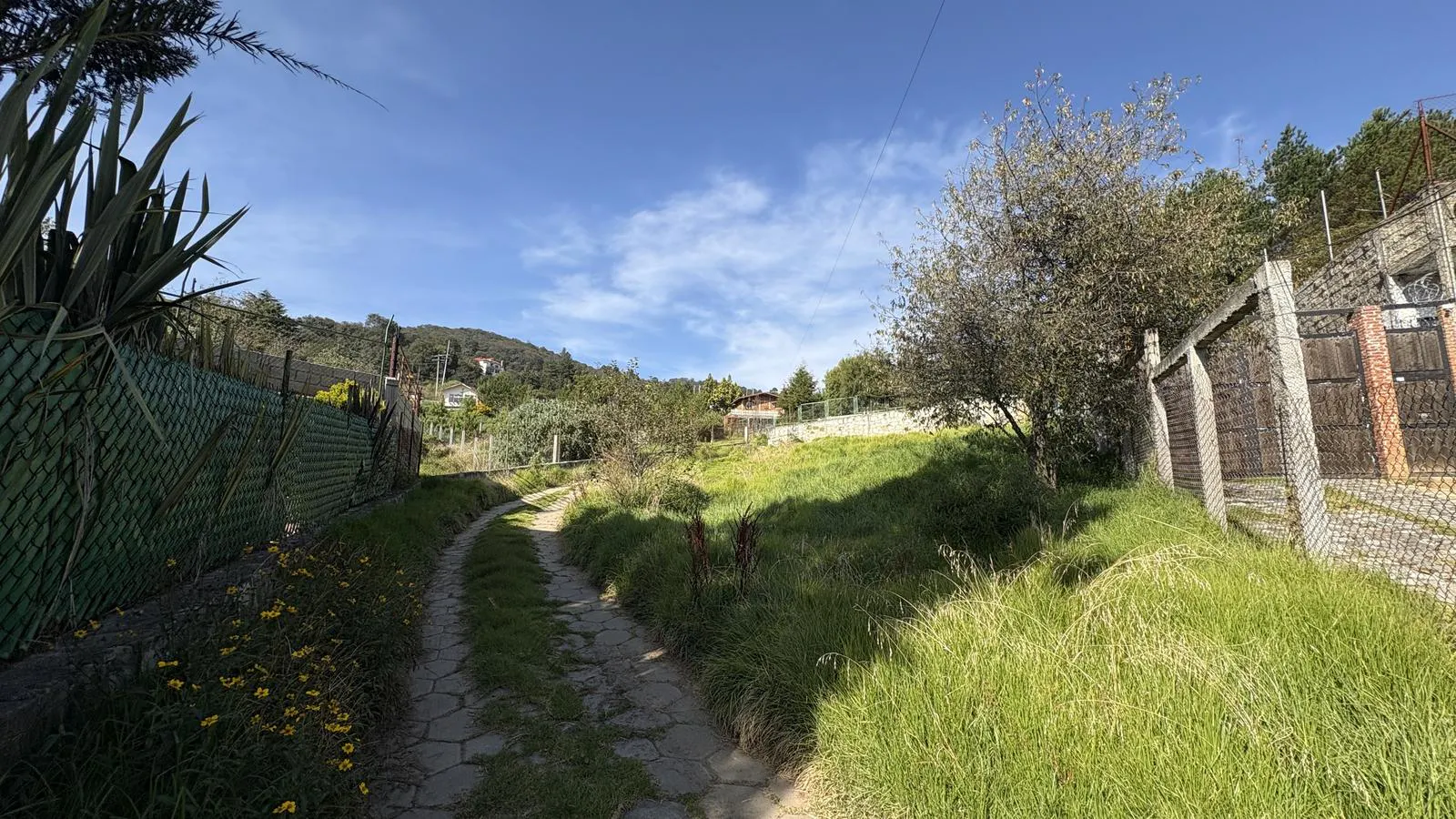 Terreno Spot2