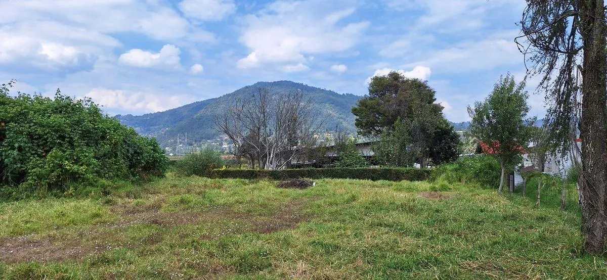 Terreno Spot2