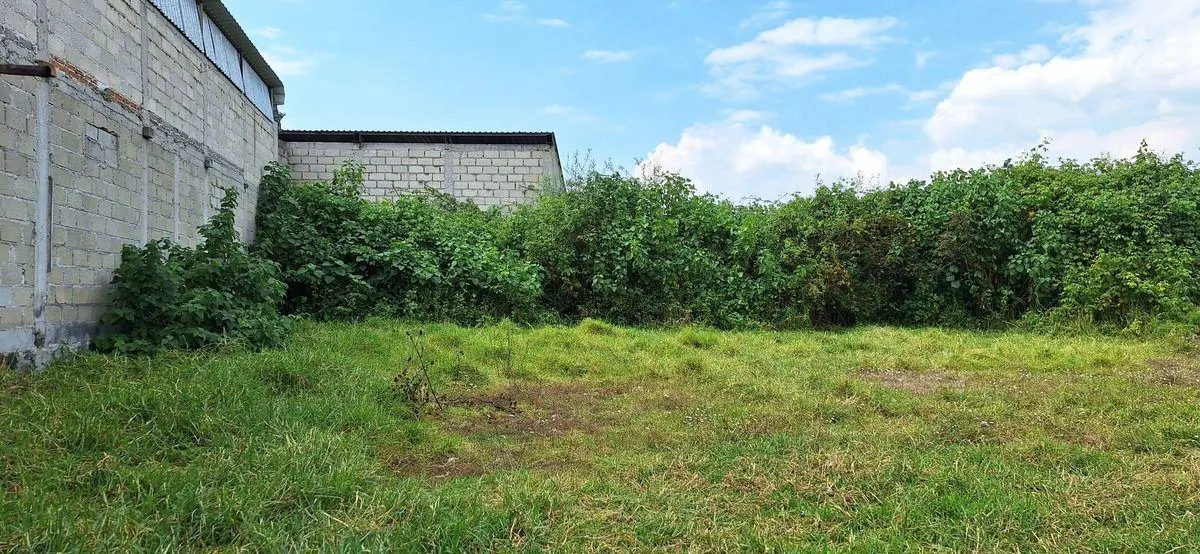 Terreno Spot2
