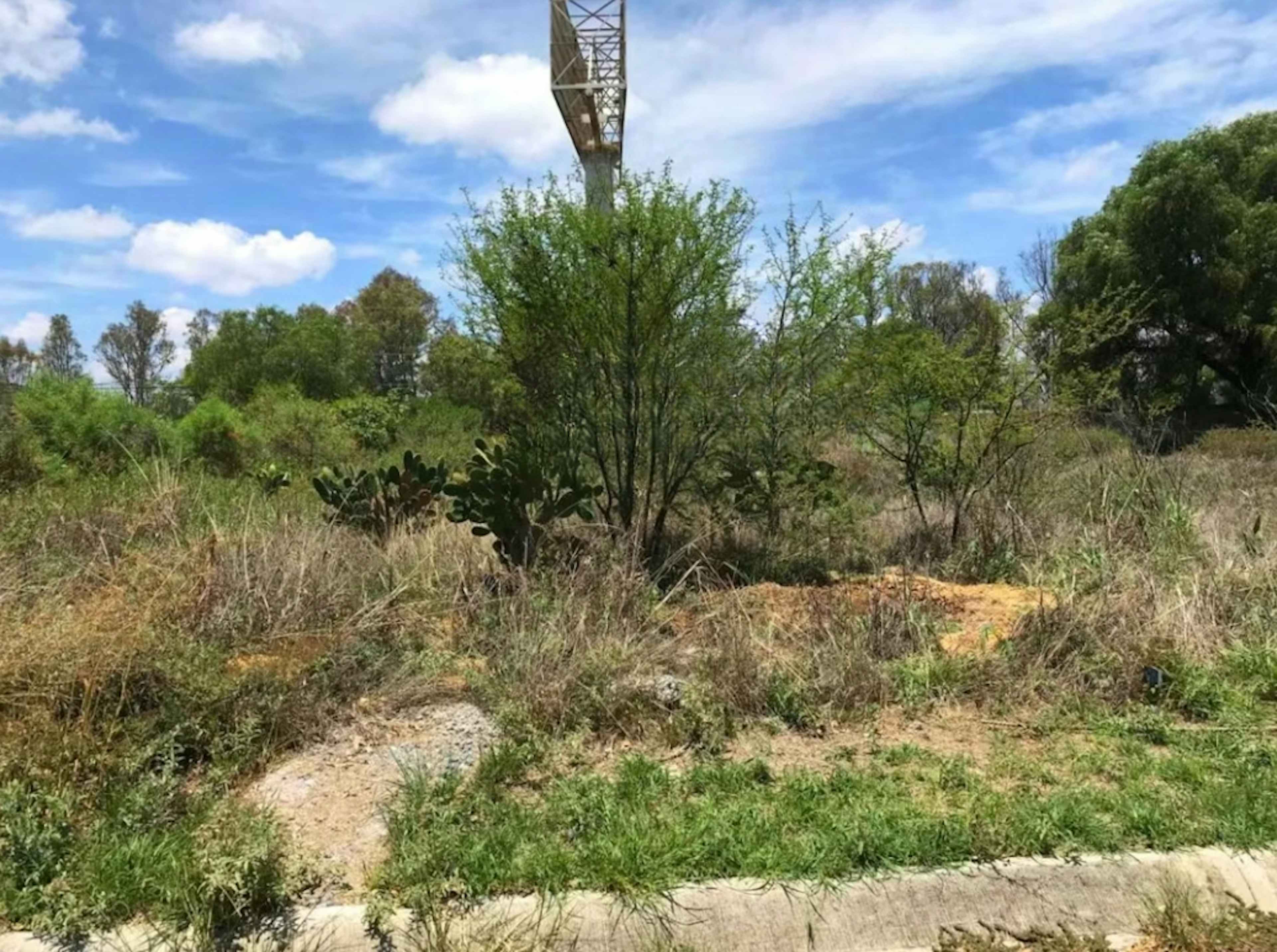 Avenida Universidad 88