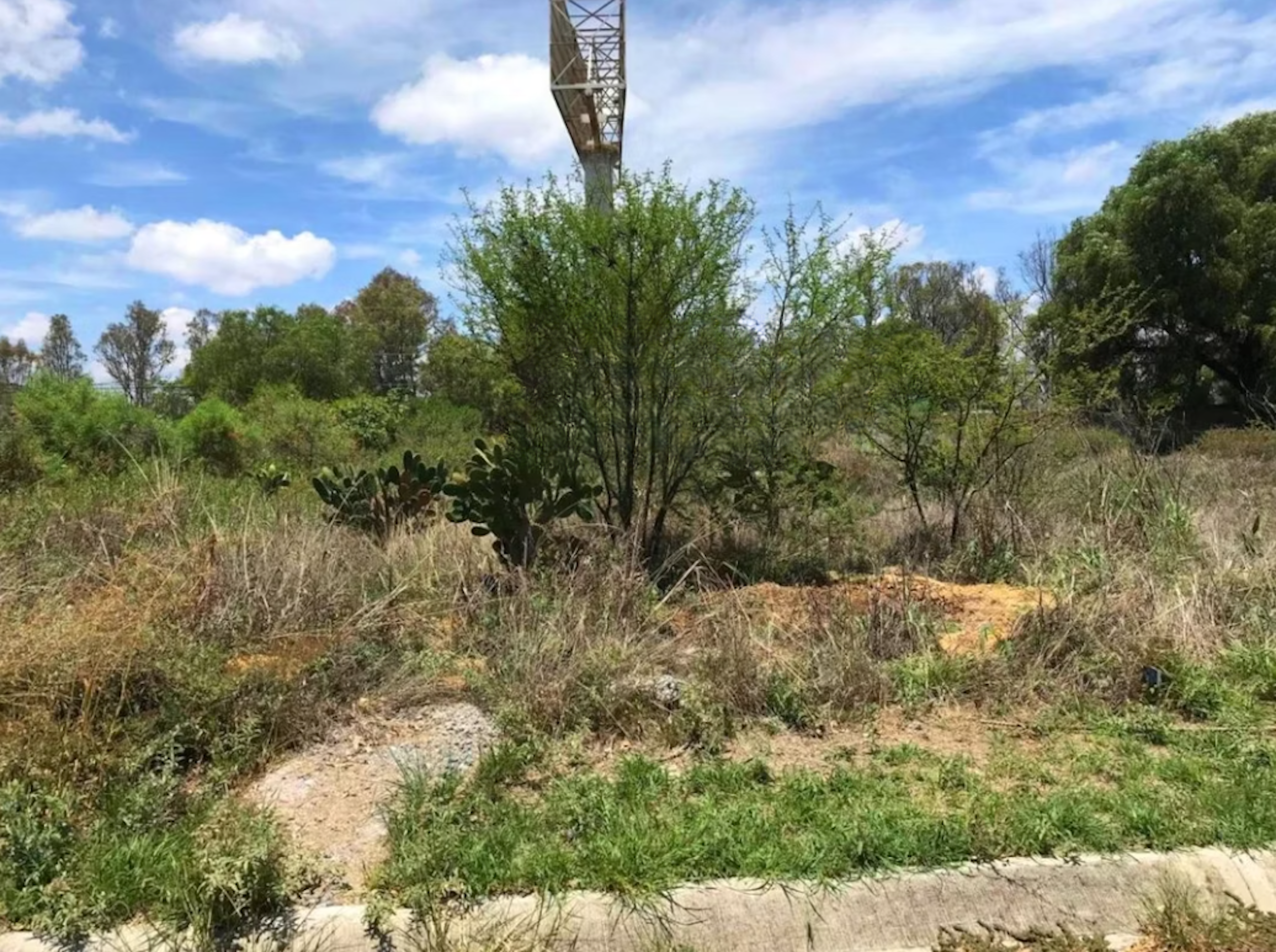Spot image 0