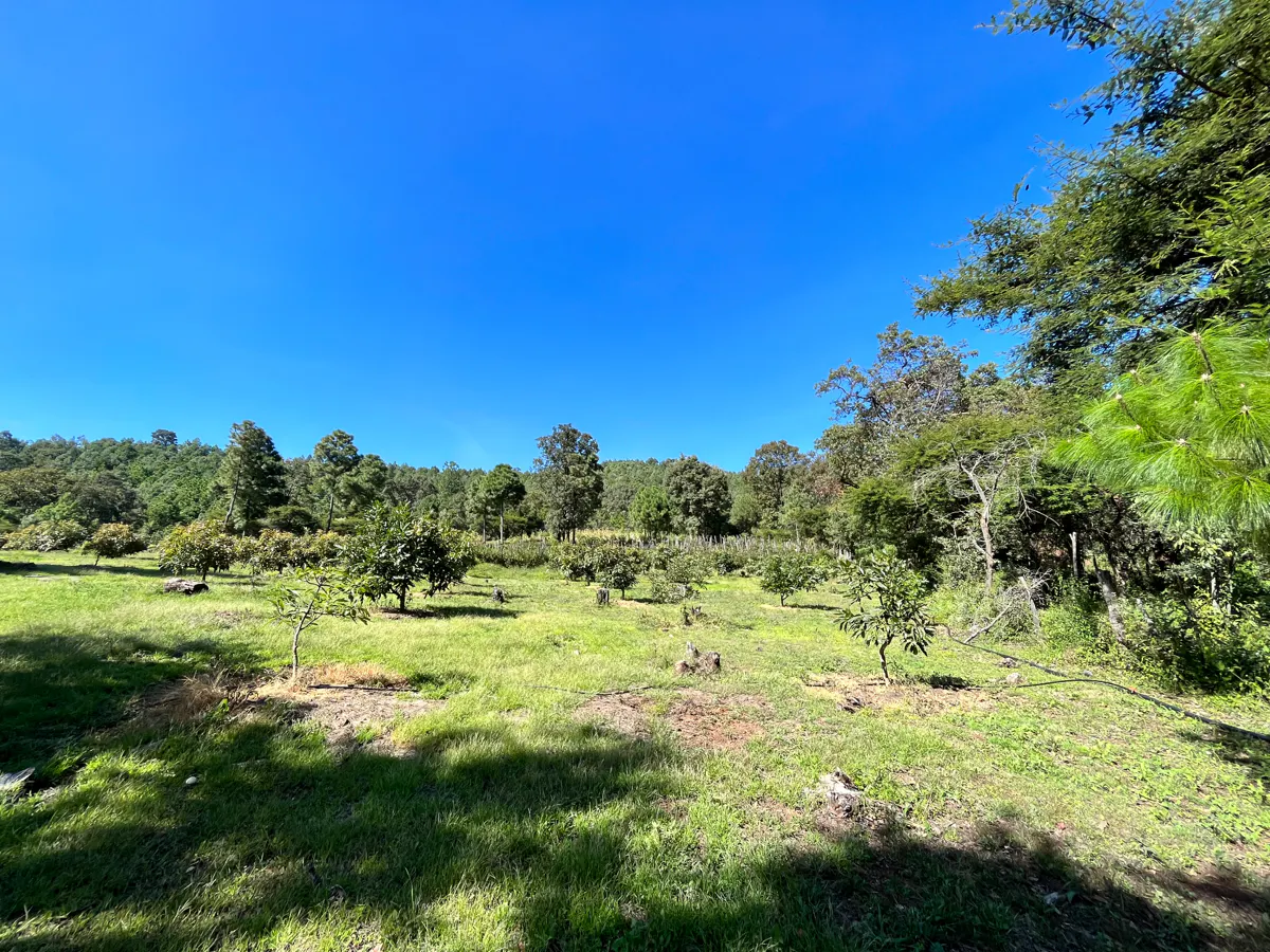 Terreno Spot2