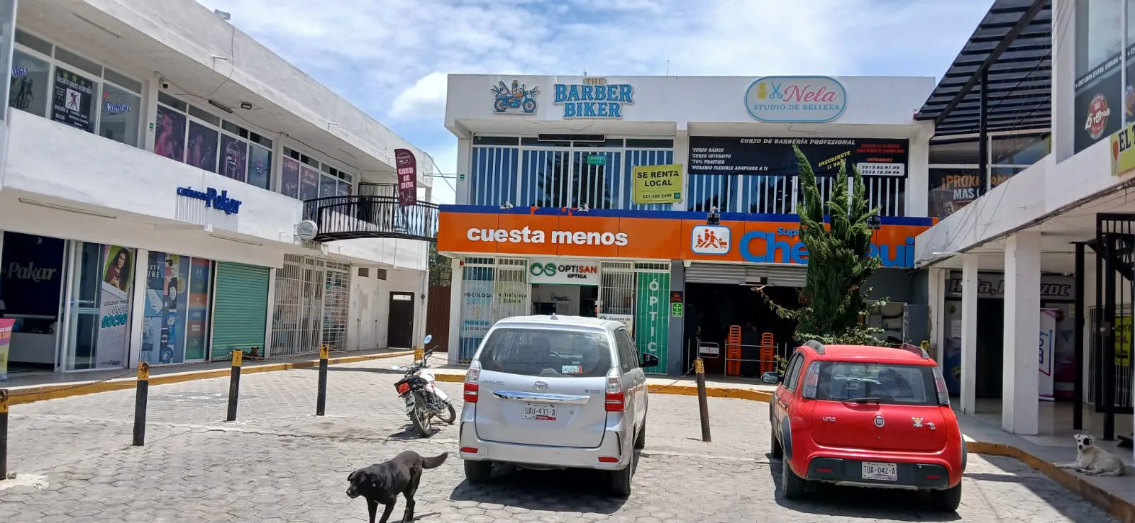Terreno Spot2