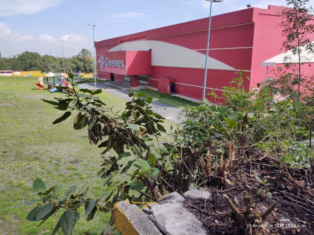 Local Comercial Spot2