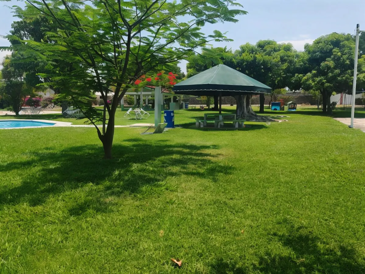 Terreno Spot2
