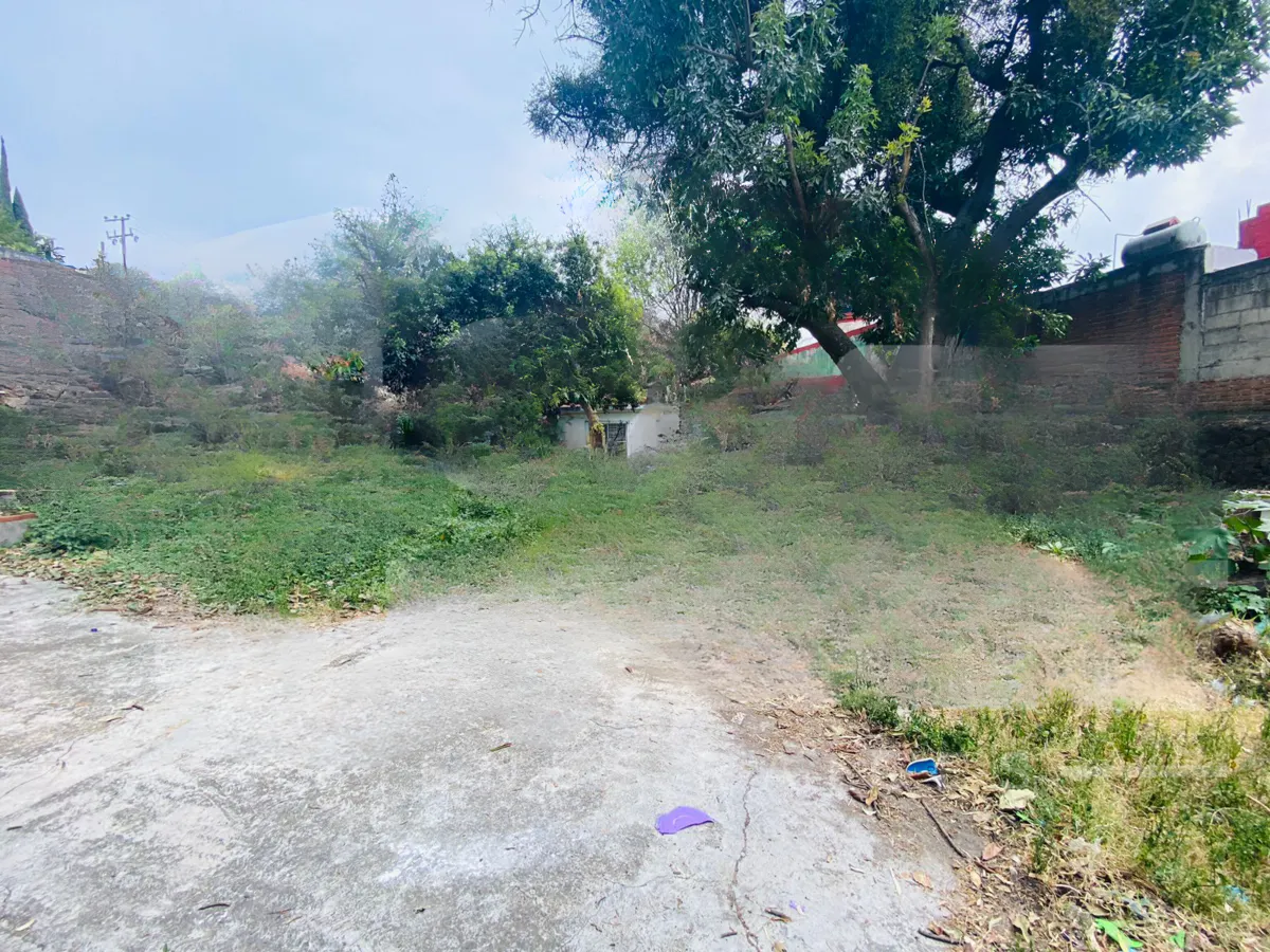 Terreno Spot2