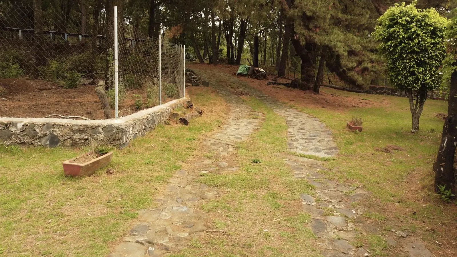 Terreno Spot2