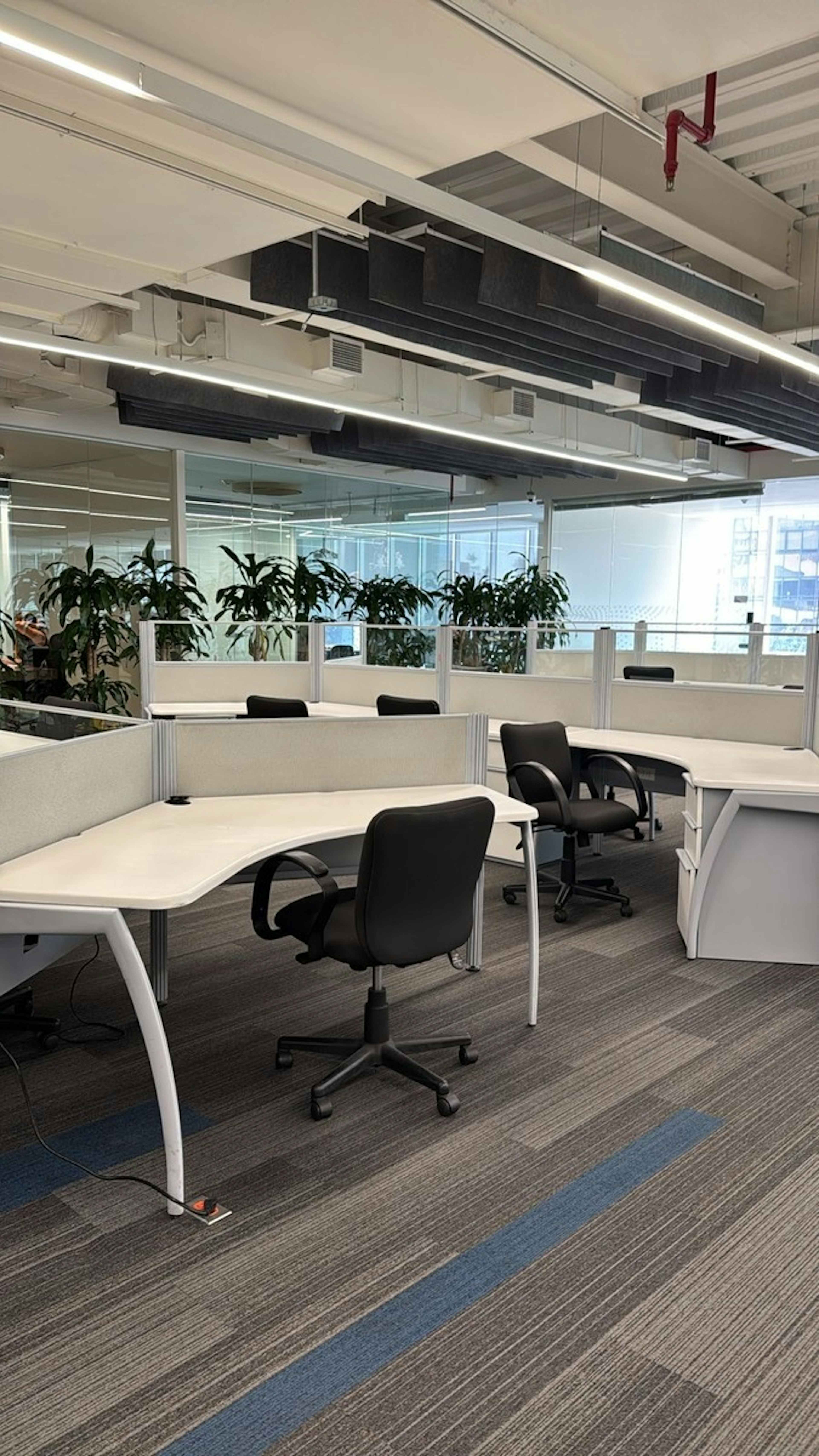 Avenida Paseo De Las Palmas