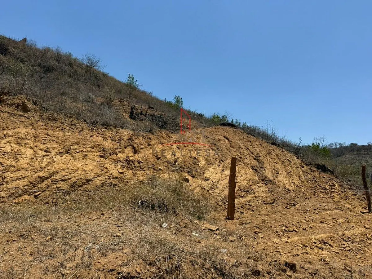 Terreno Spot2