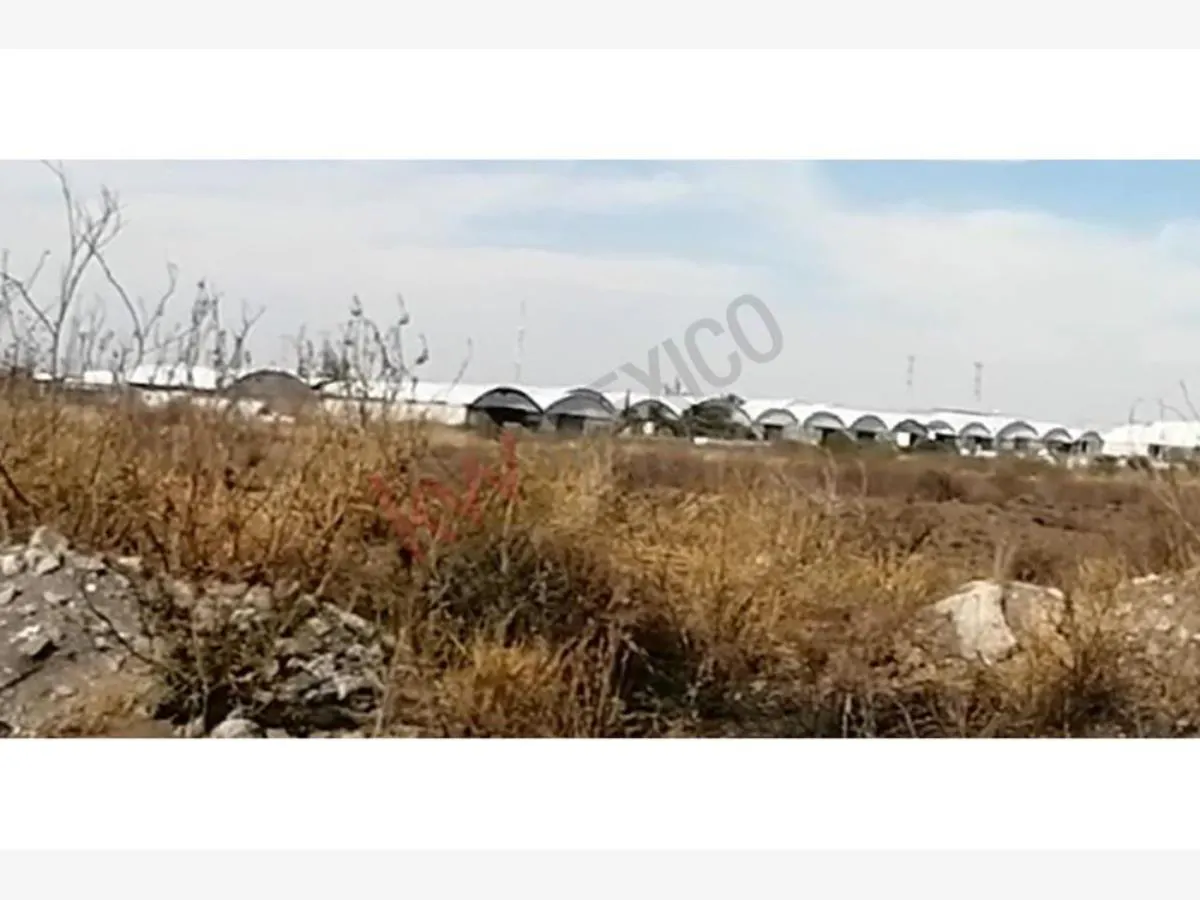 Terreno Spot2