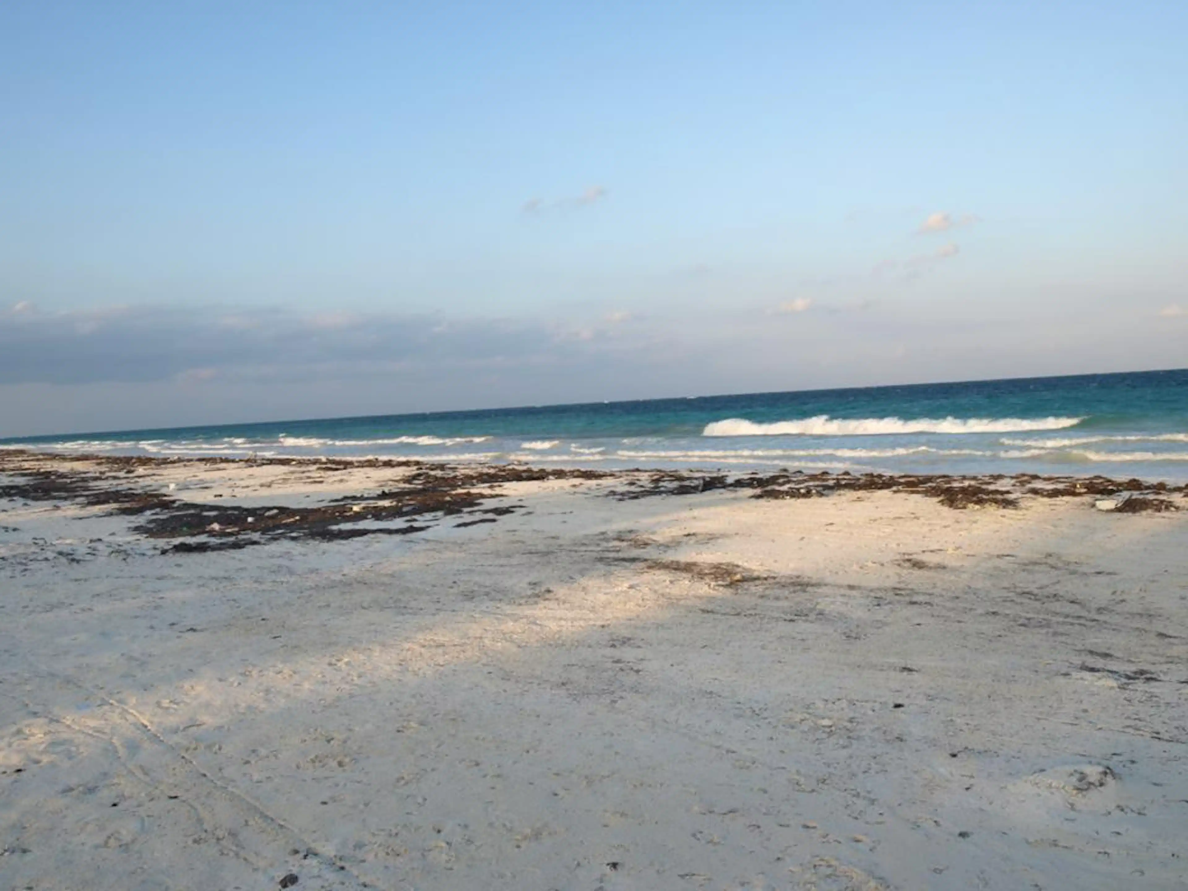 Lote Residencial En Venta Frente Al Mar En Bocapaila | Ideal Para Desarrollar | P1277