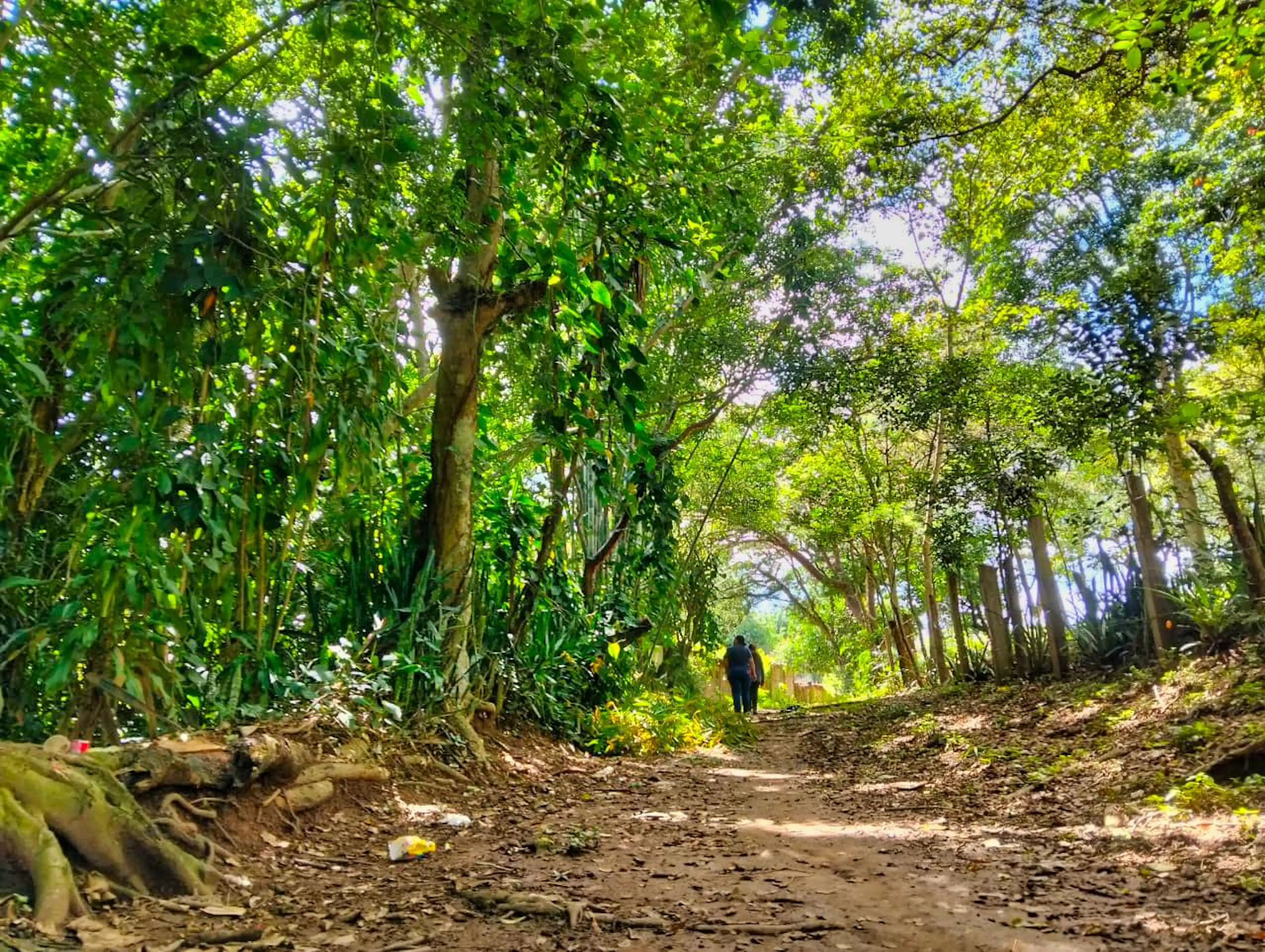 Terreno En Venta Paso Campana La Estanzuela Veracruz