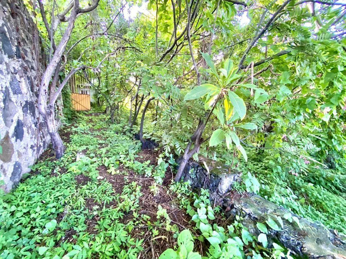 Terreno Spot2
