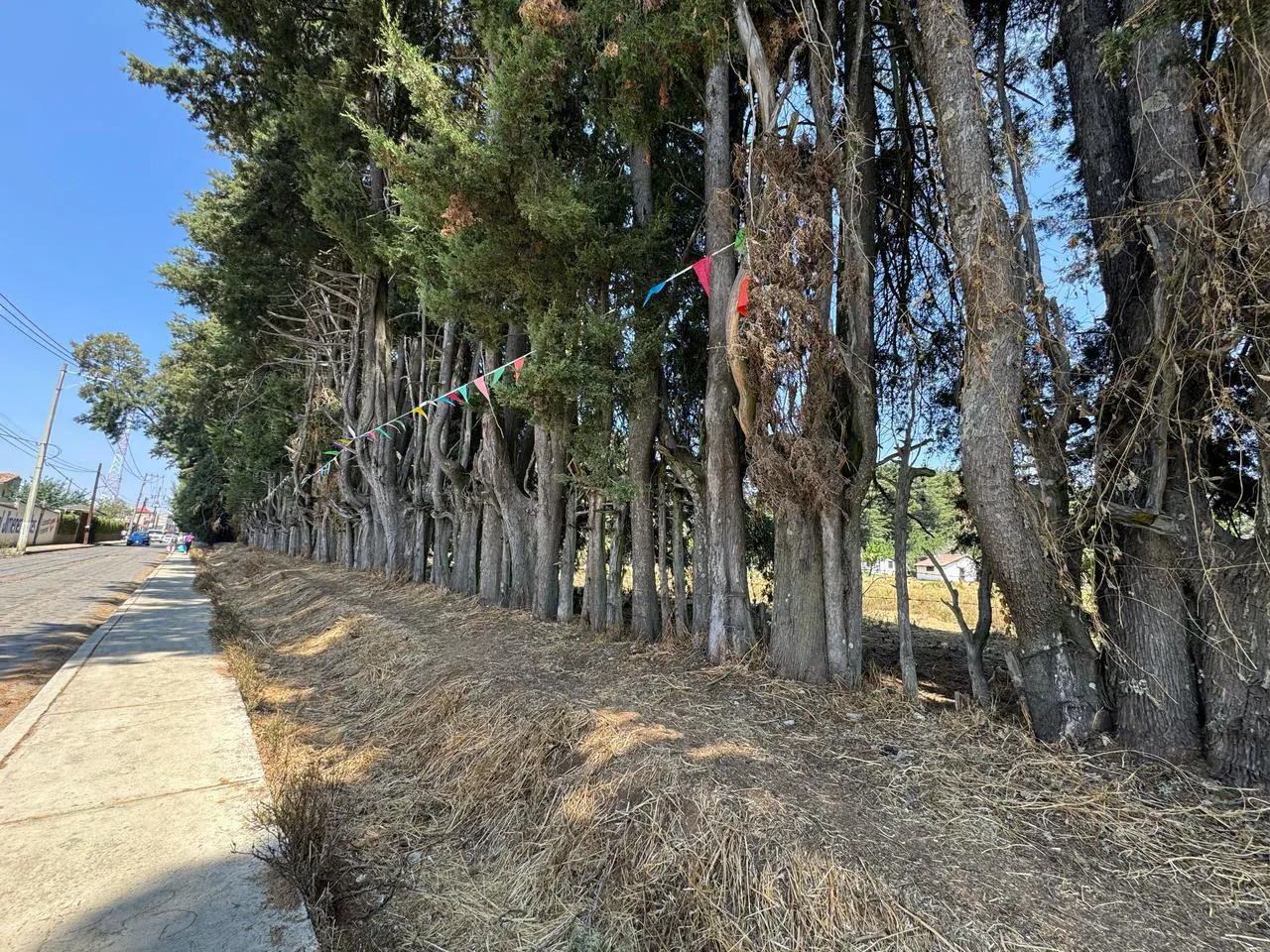 Terreno Spot2