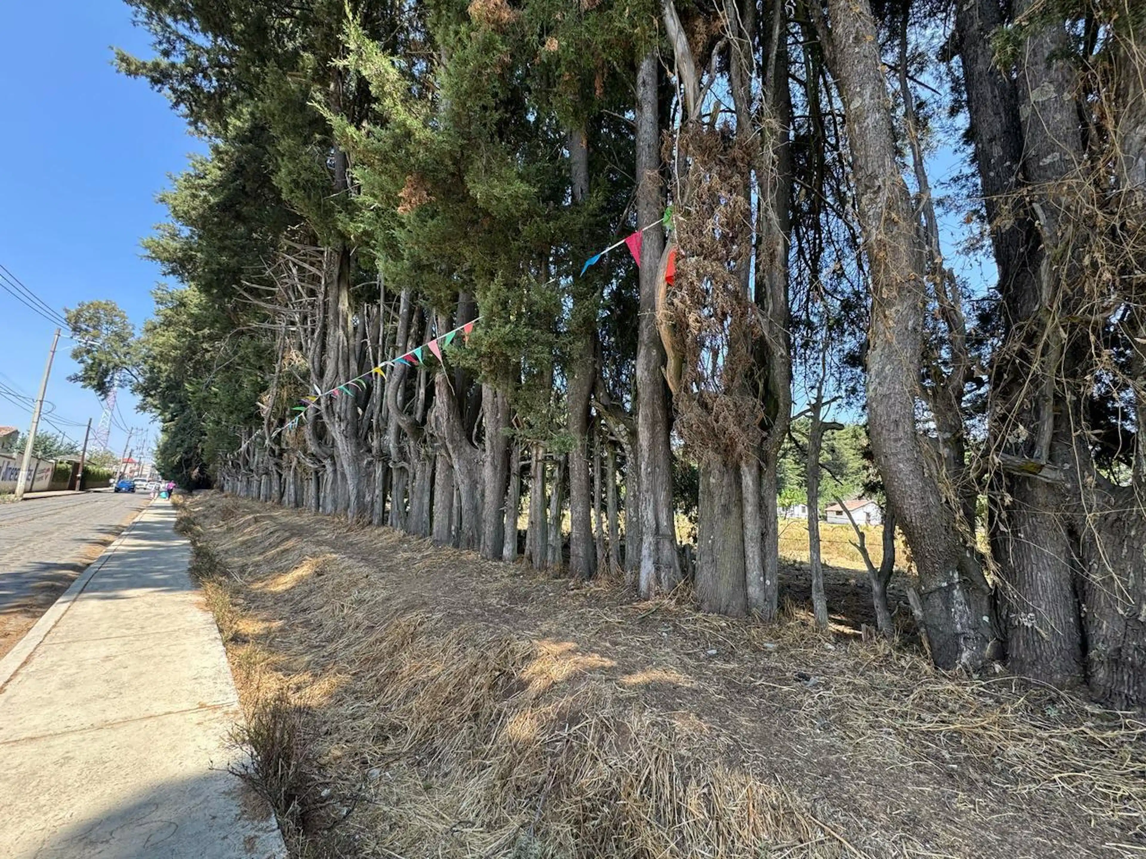 Terreno Céntrico en Villa del Carbón, Estado de México
