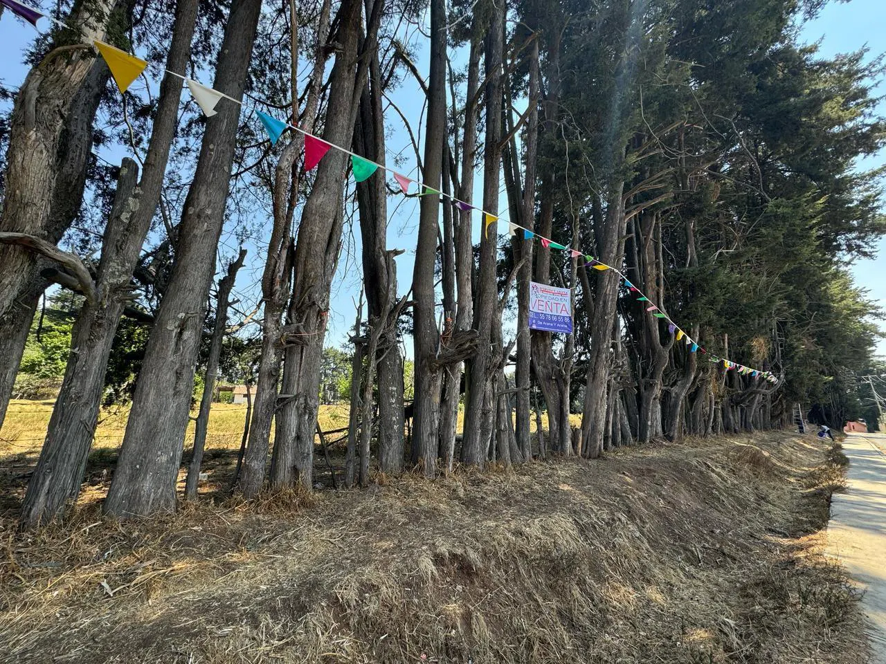 Terreno Spot2