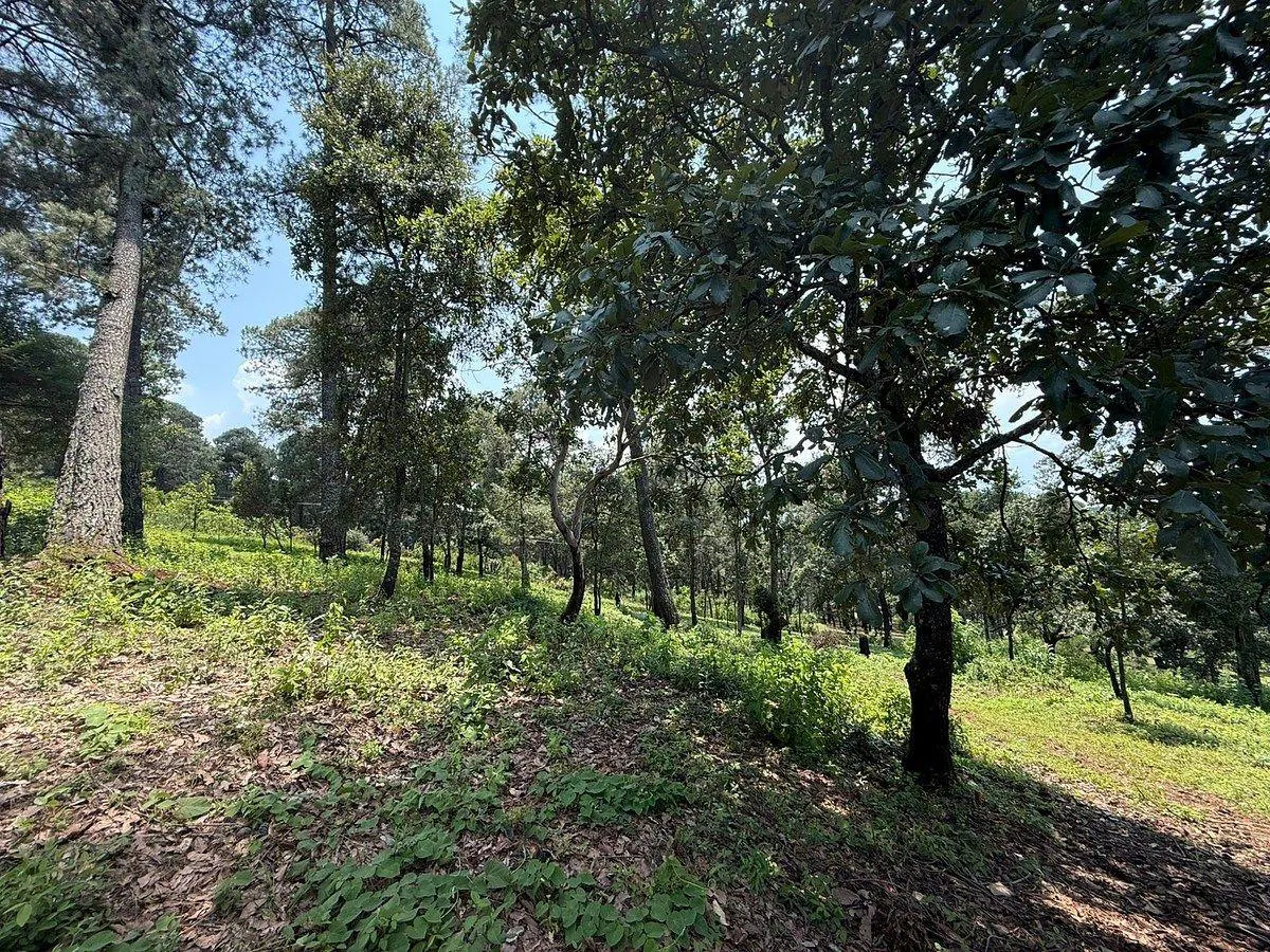 Terreno Spot2