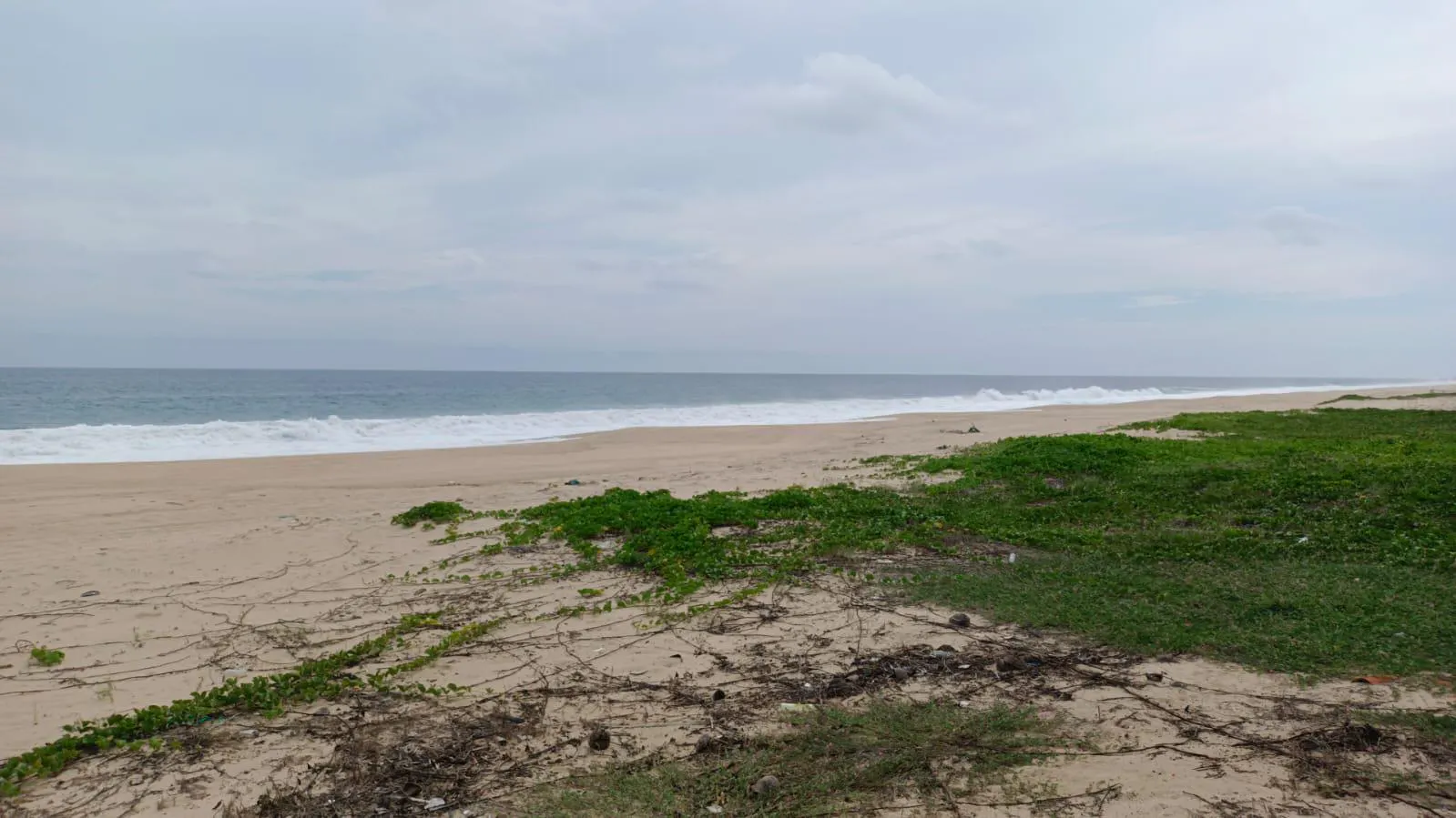 Terreno Spot2