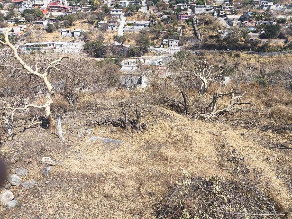 Terreno Spot2