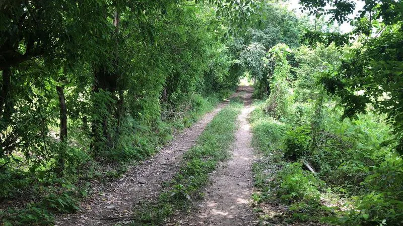 Terreno Spot2