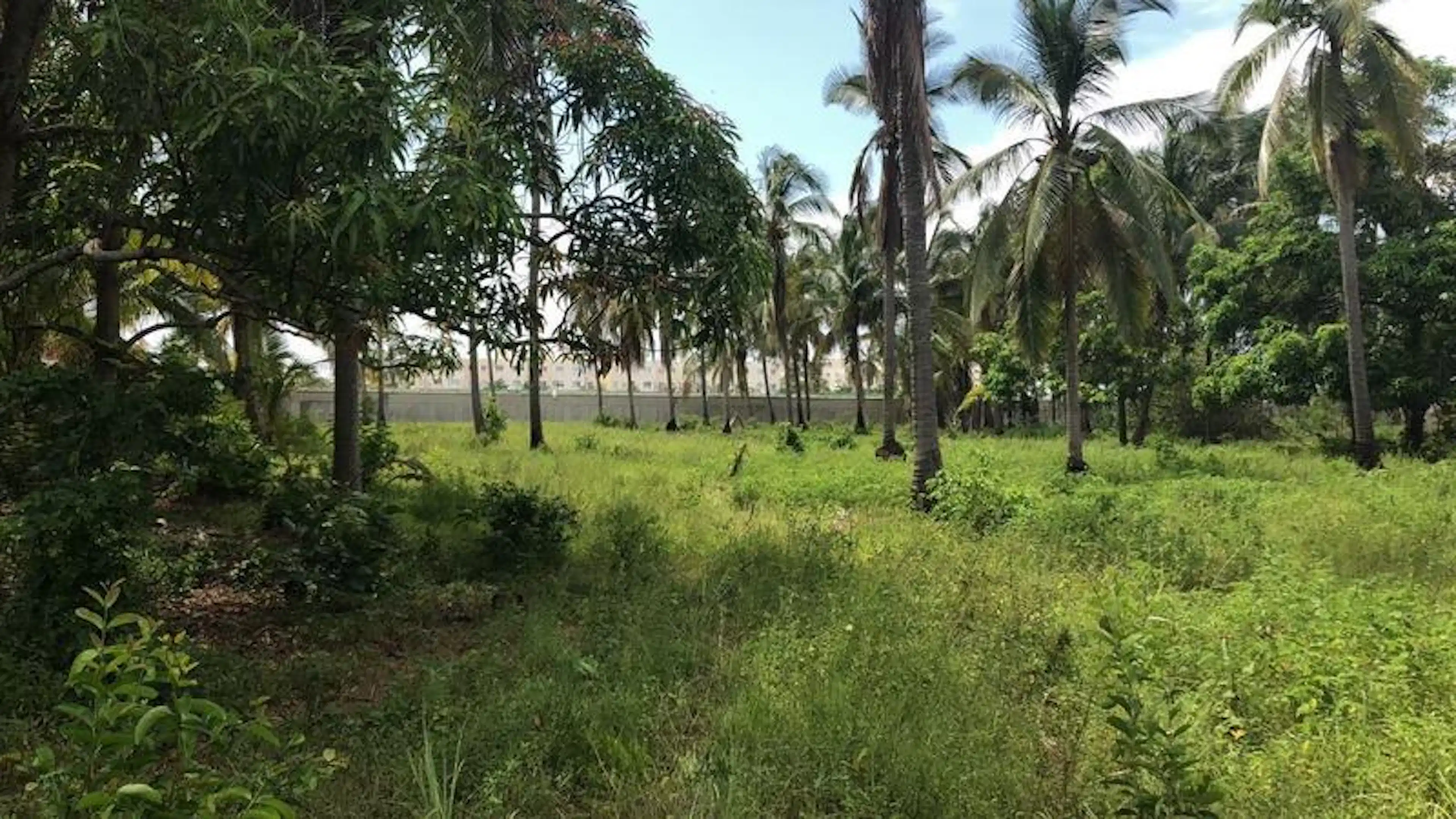 Huerta en Bonfil